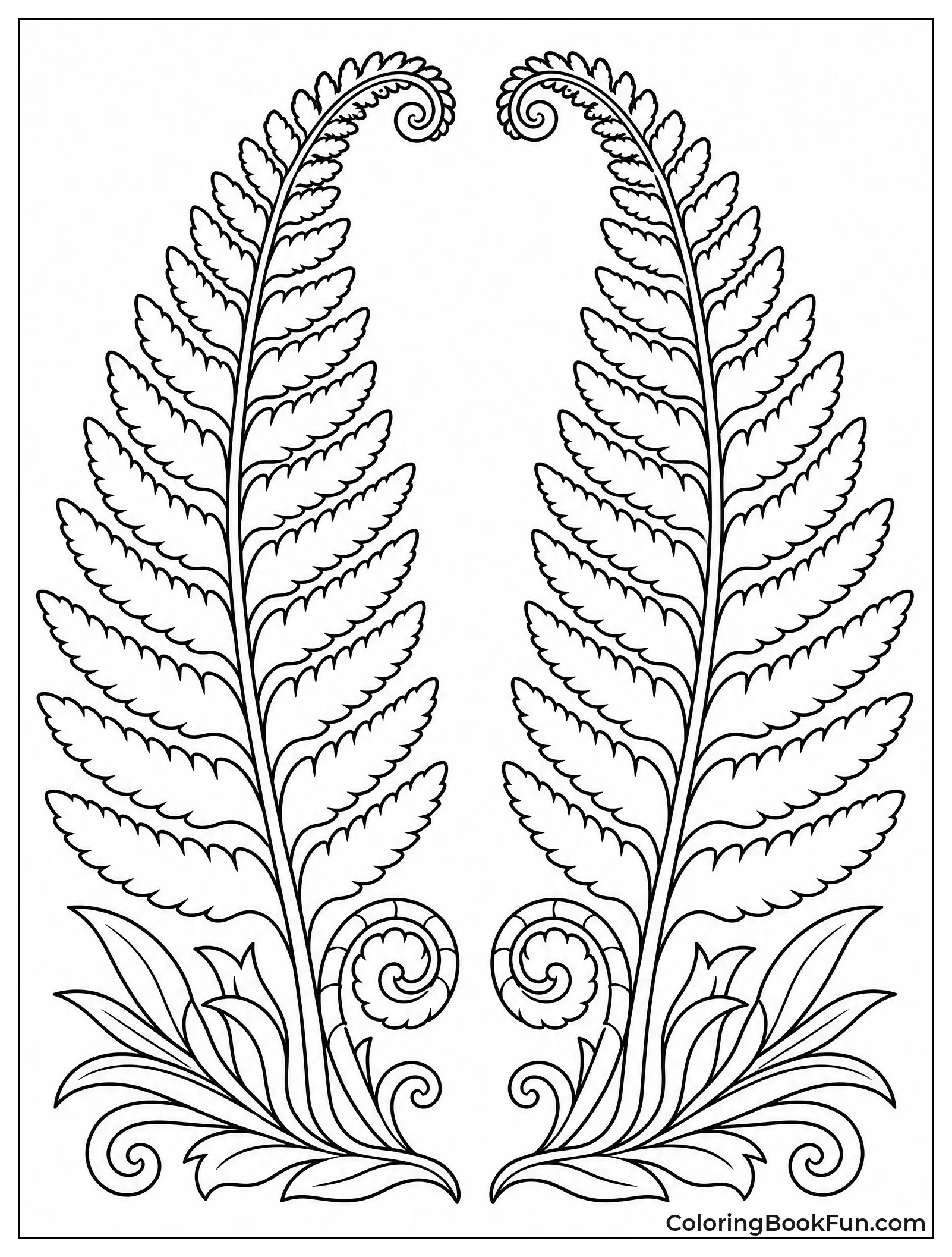 Ferns Face Each Other Closely