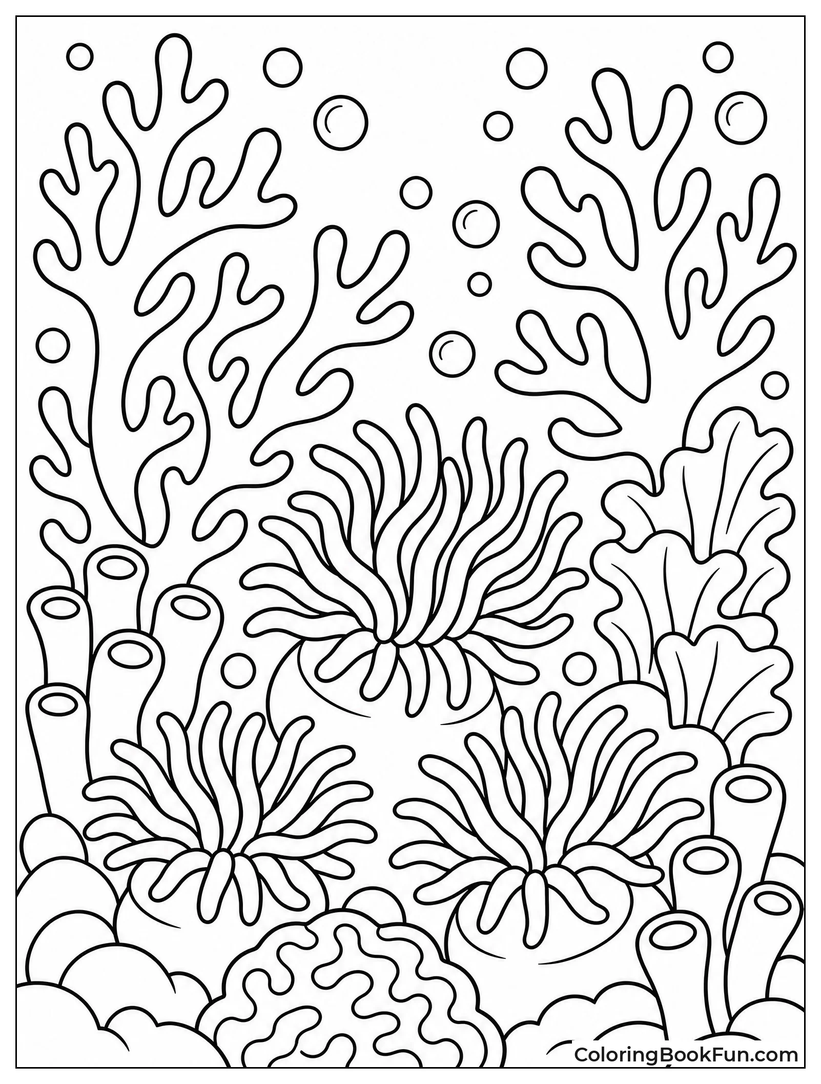 Coral and Bubbles Fill Reef