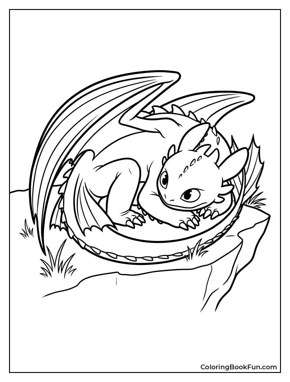 Toothless Curled up and Sleeping