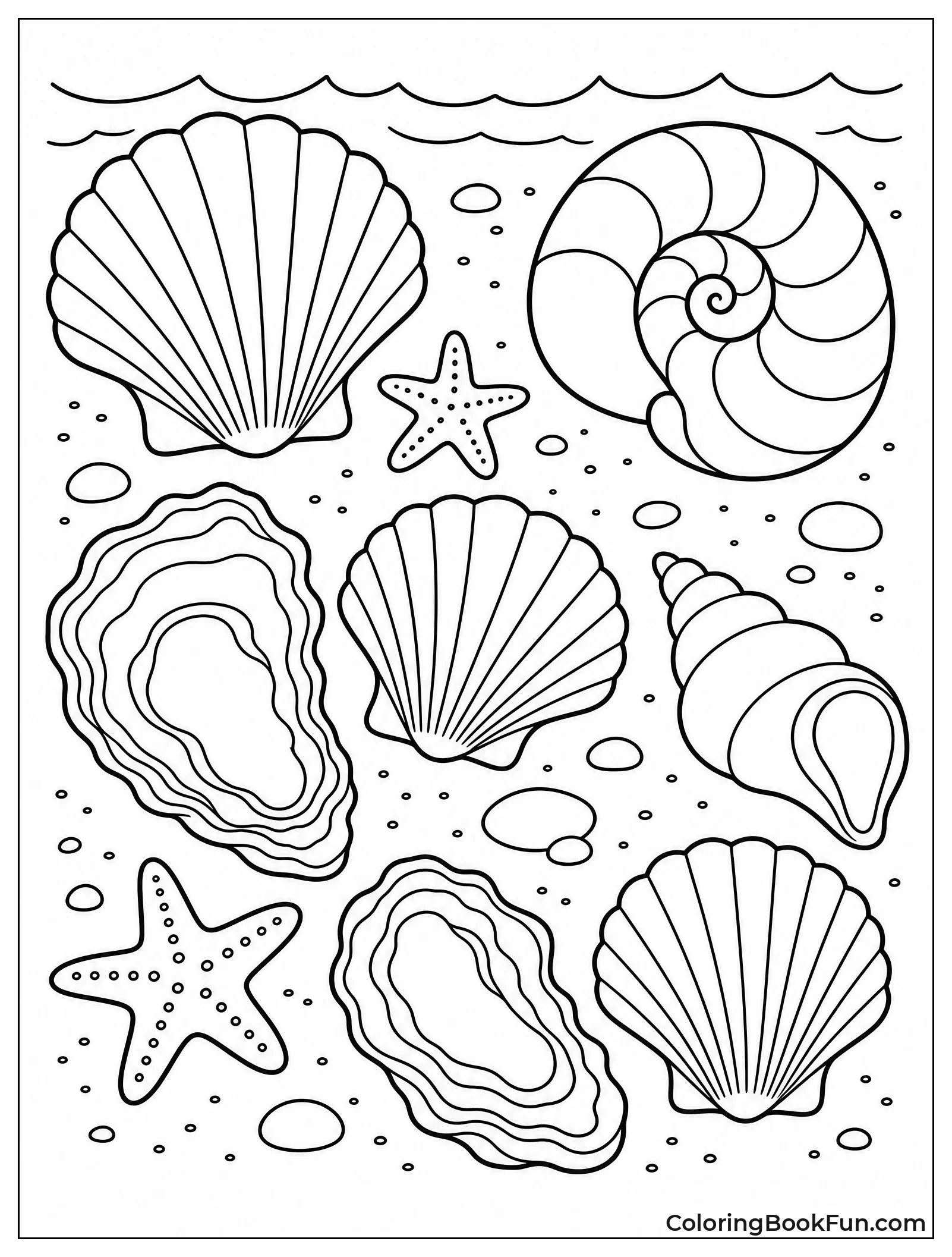 Mix of Shells on the Shore