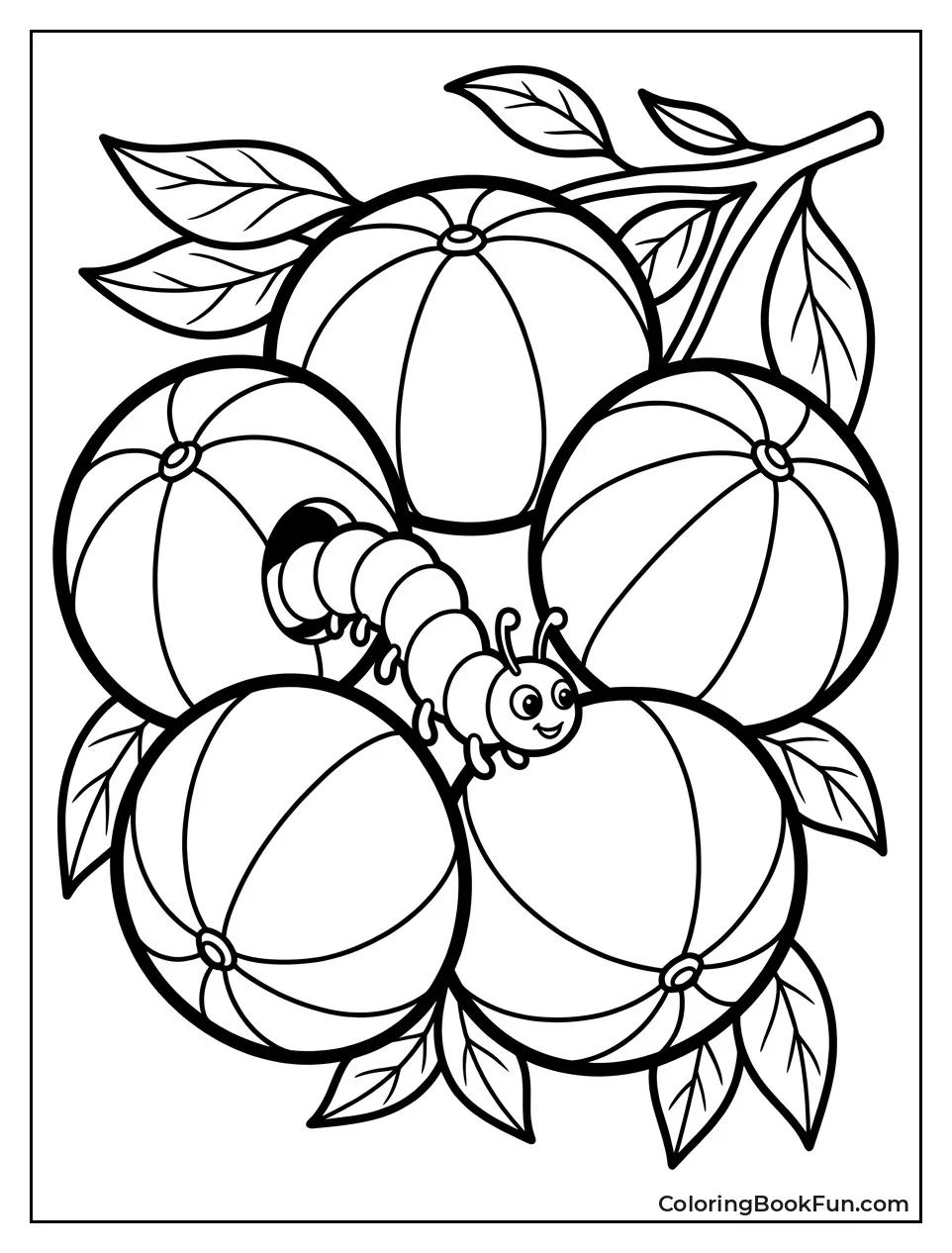 Five Oranges Arranged in Circle