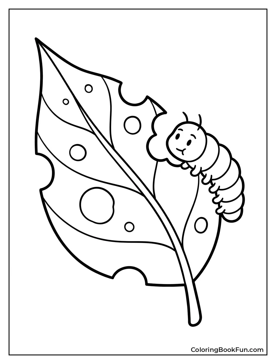Green Leaf with Small Holes