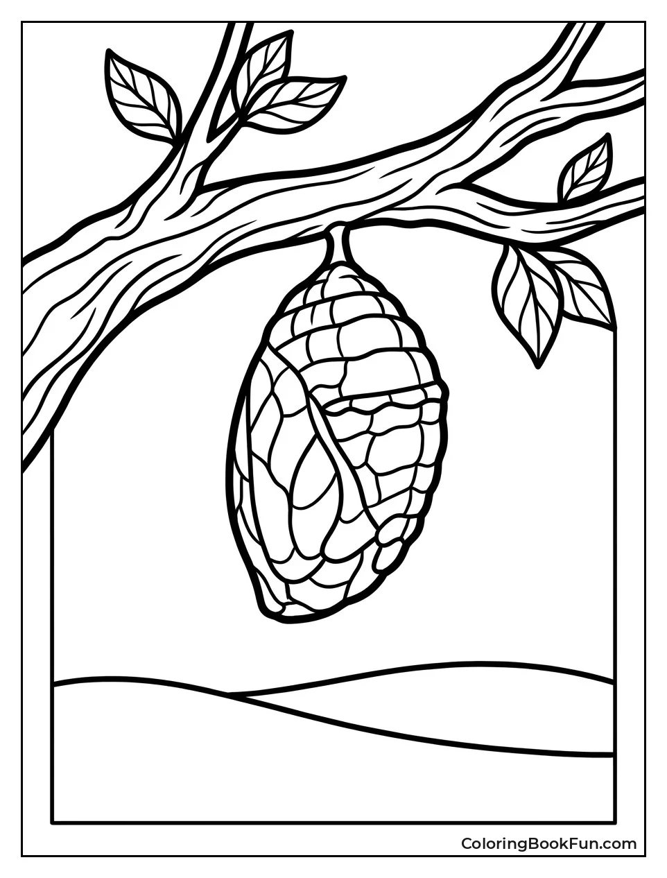 Cocoon Hanging from Tree Branch