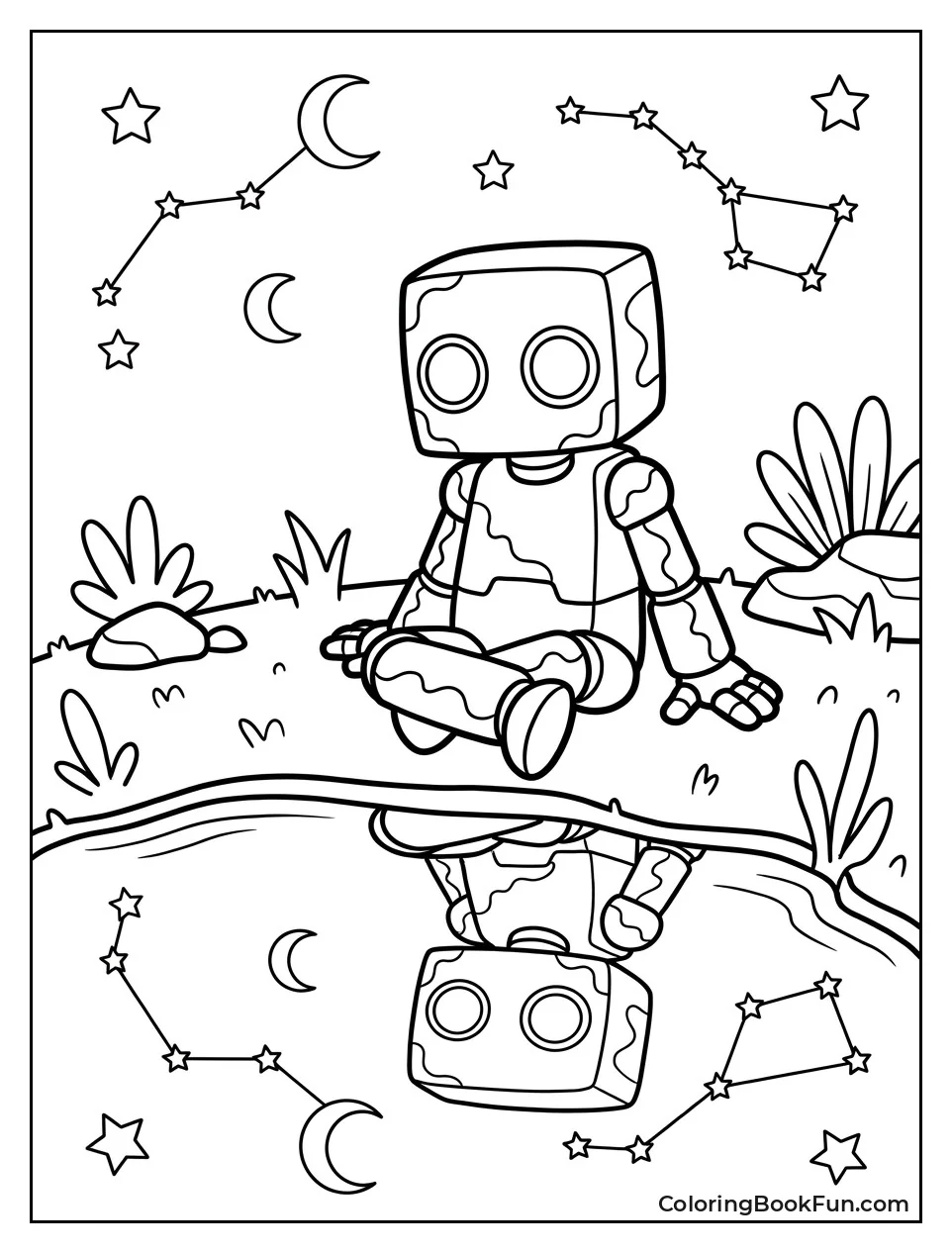 Roz Sits by Starry Pond