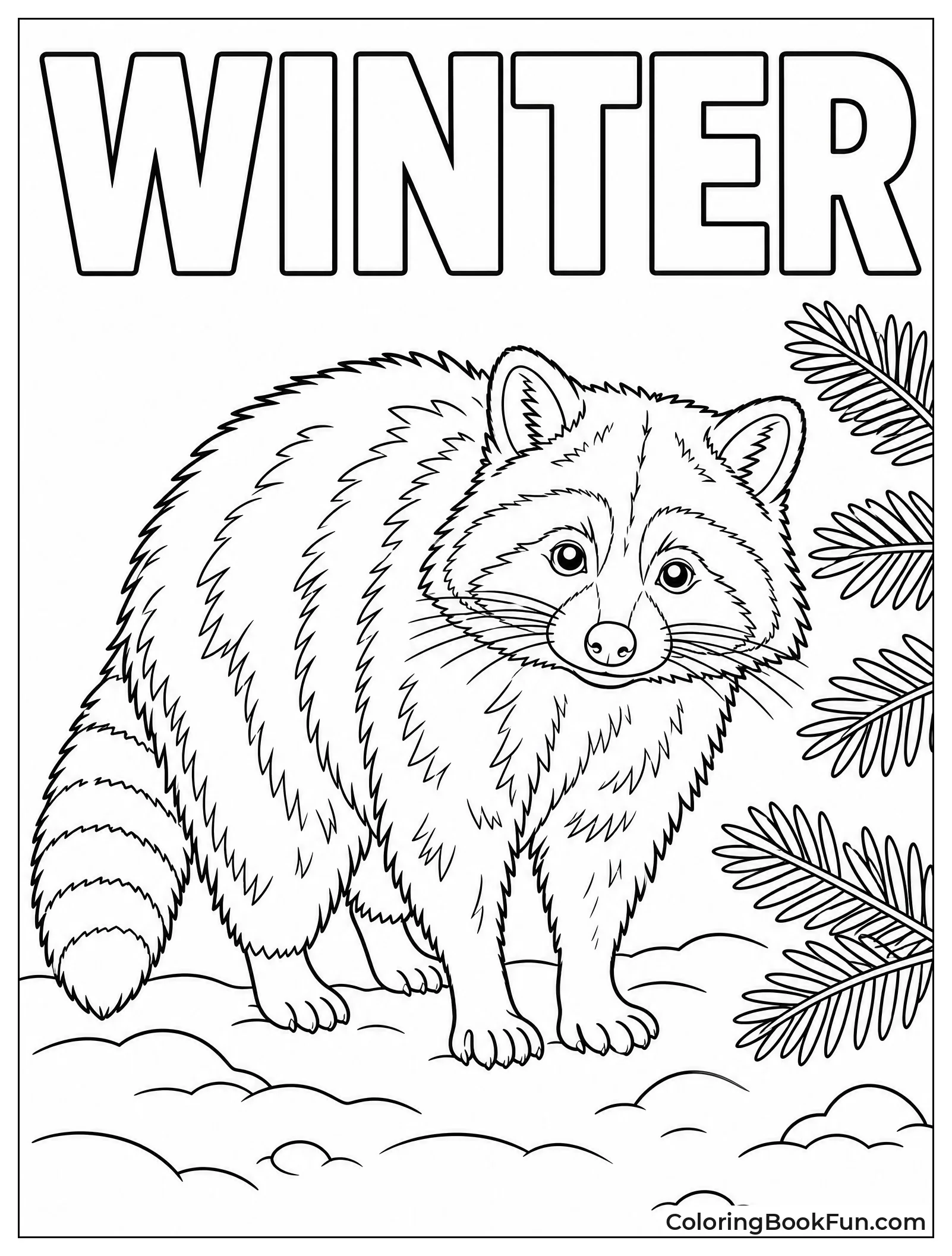 Raccoon with Thick Winter Coat