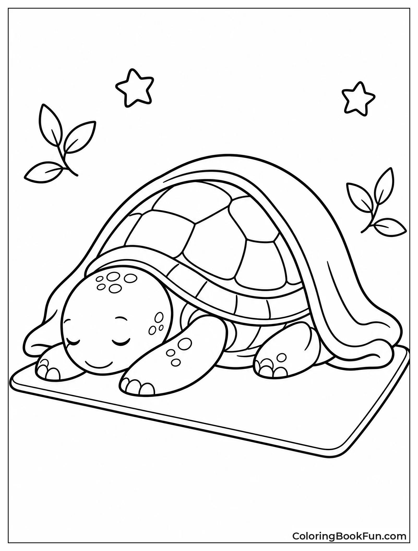 Turtle Resting in Child Pose