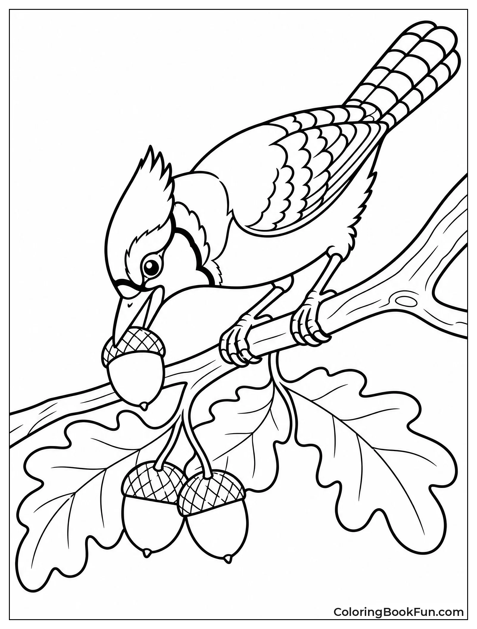 Blue Jay Picks Up Acorn