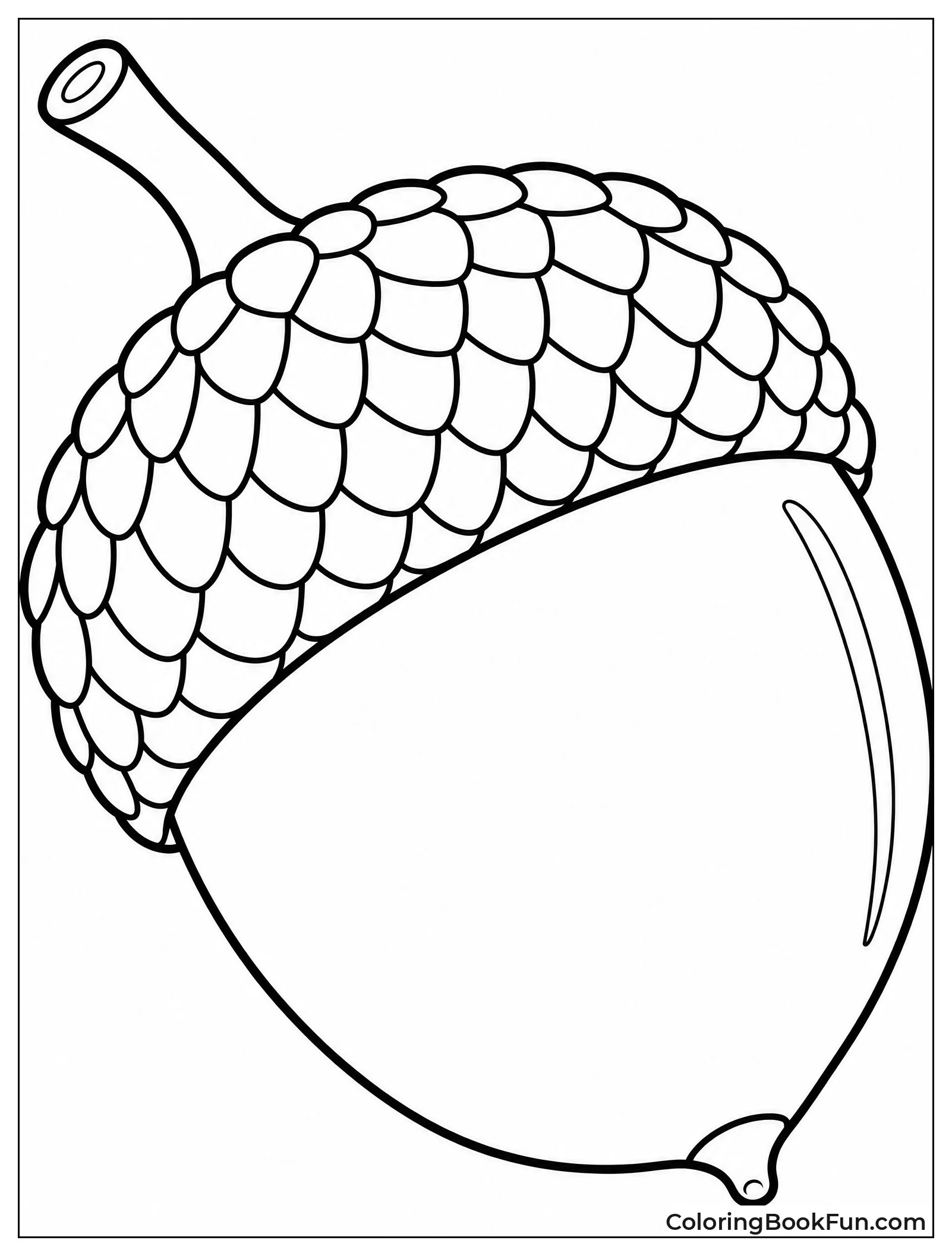 Scaly Acorn Cap Up Close