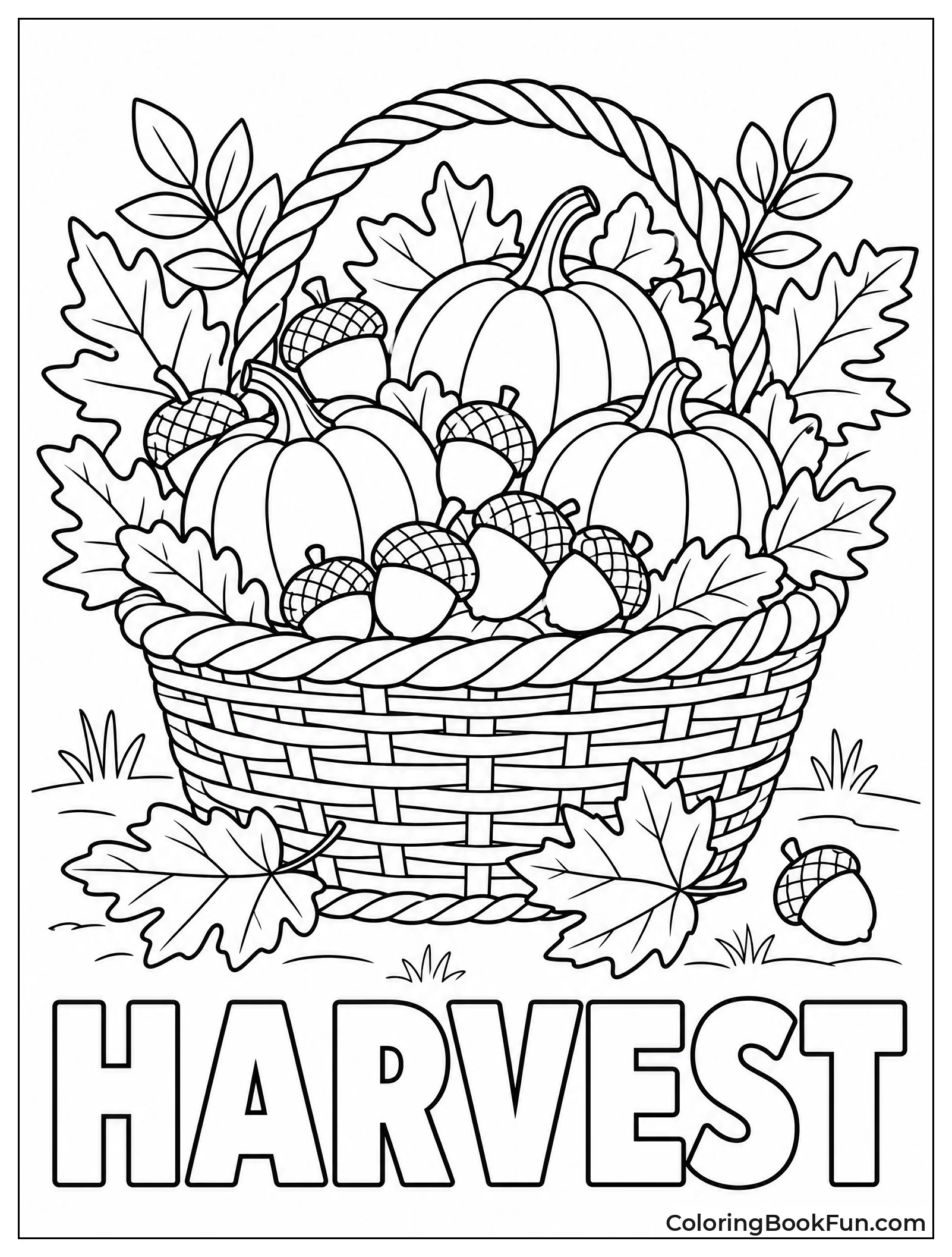 Basket Full Of Acorns And Pumpkins