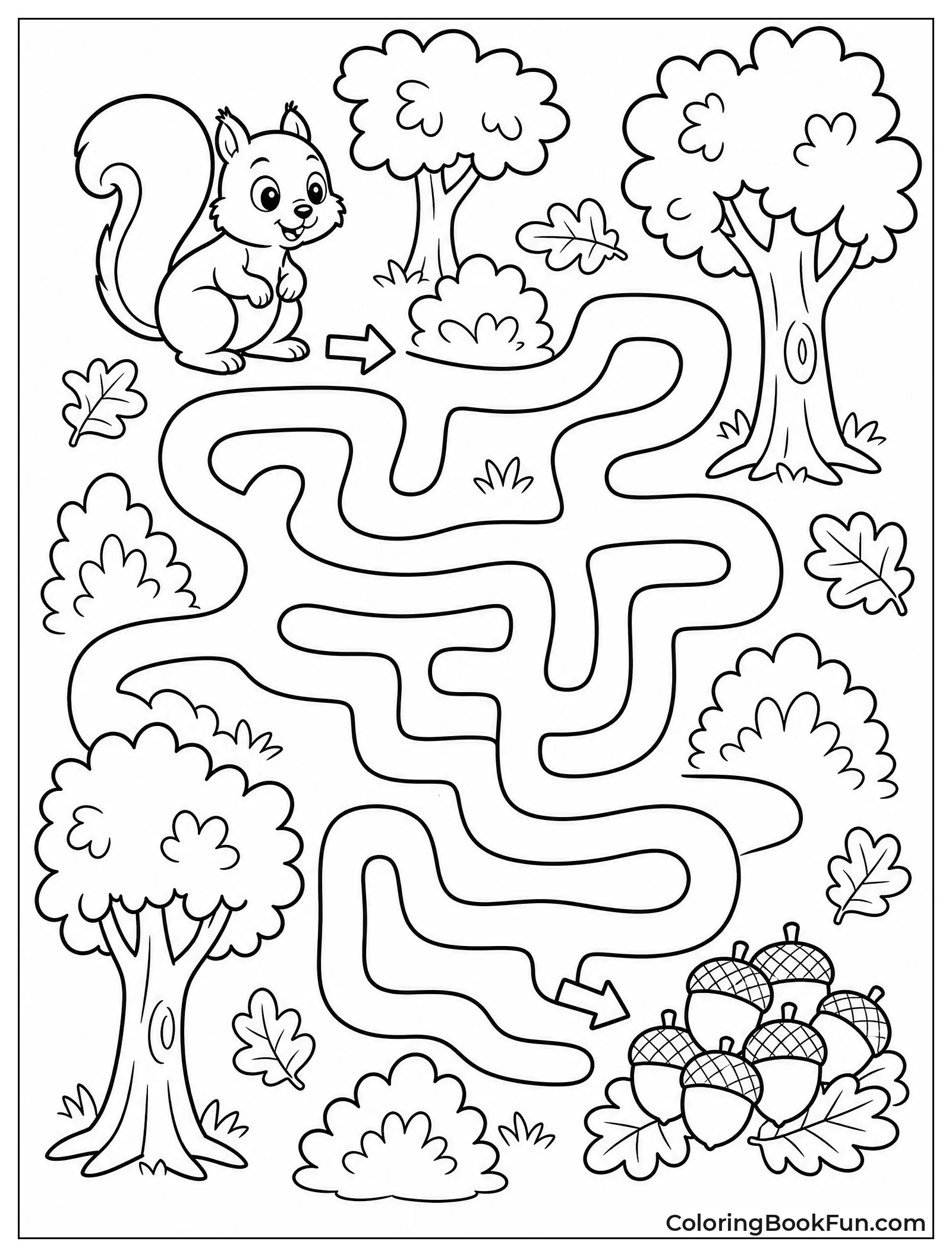 Squirrel Finds Way Through Maze