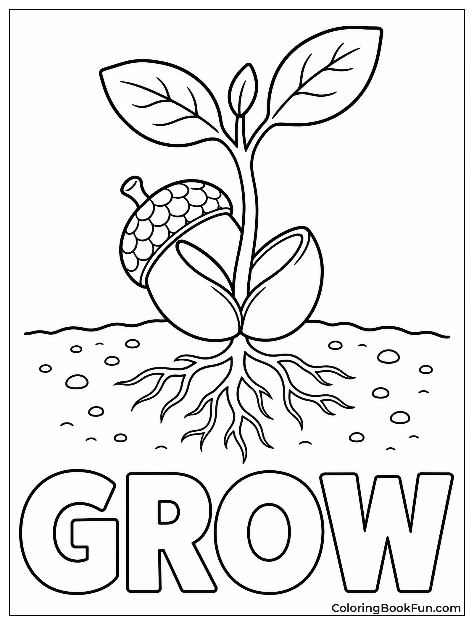 Acorn Sprouts With Green Shoot