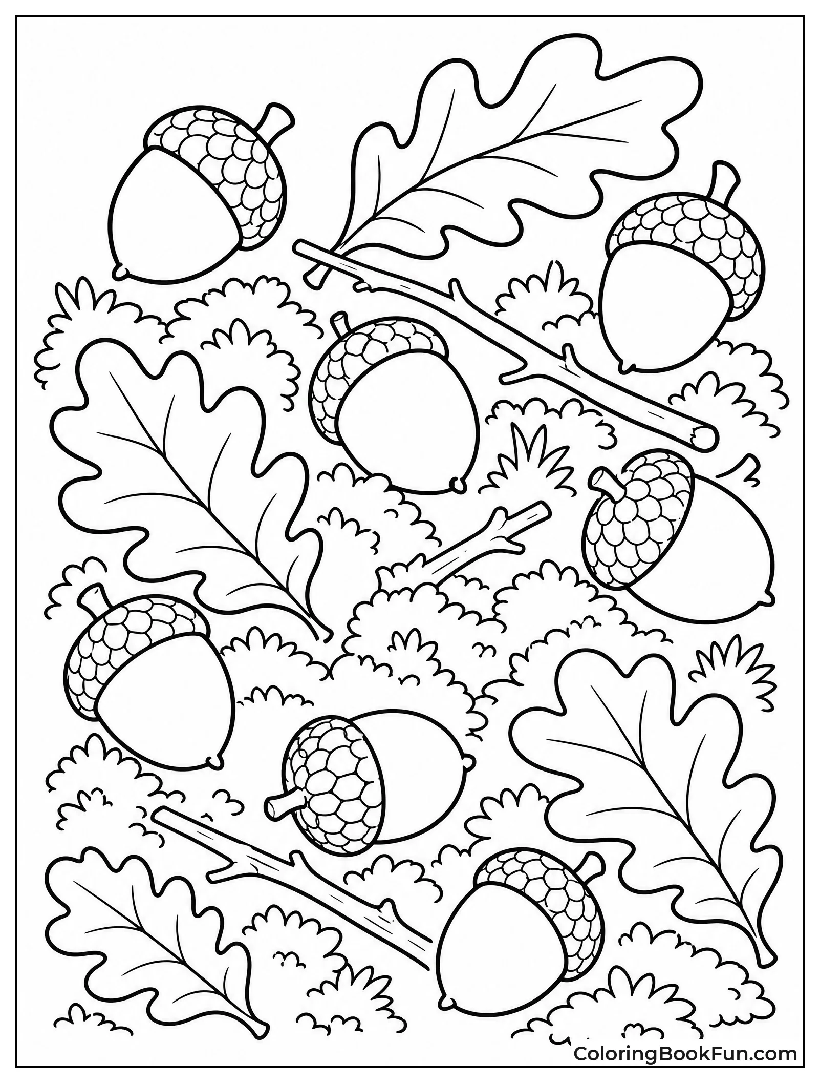 Acorns Scattered On Forest Floor