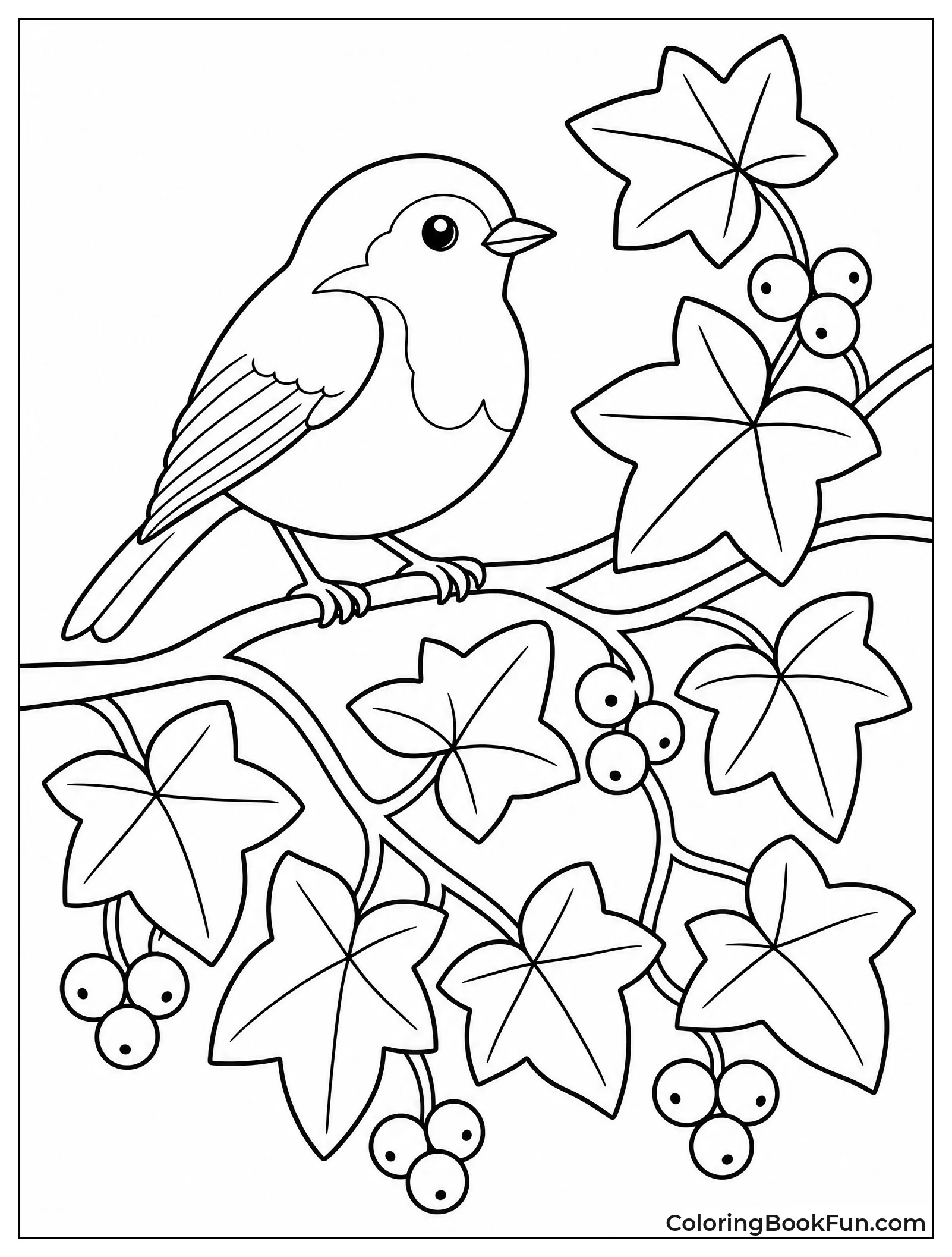 Robin Perches on Winter Ivy Branch