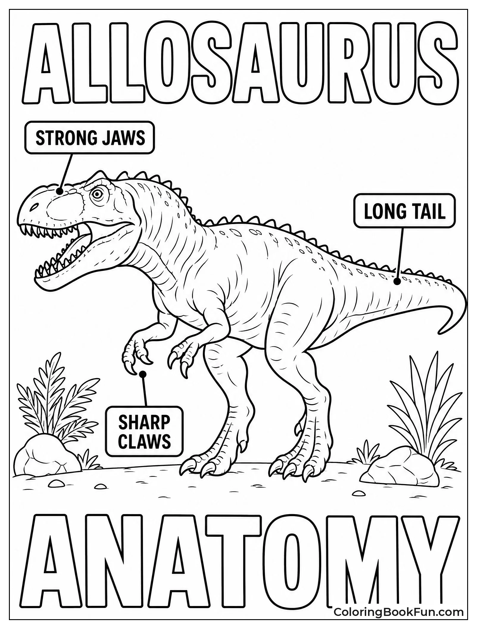 Allosaurus Anatomy with Labels