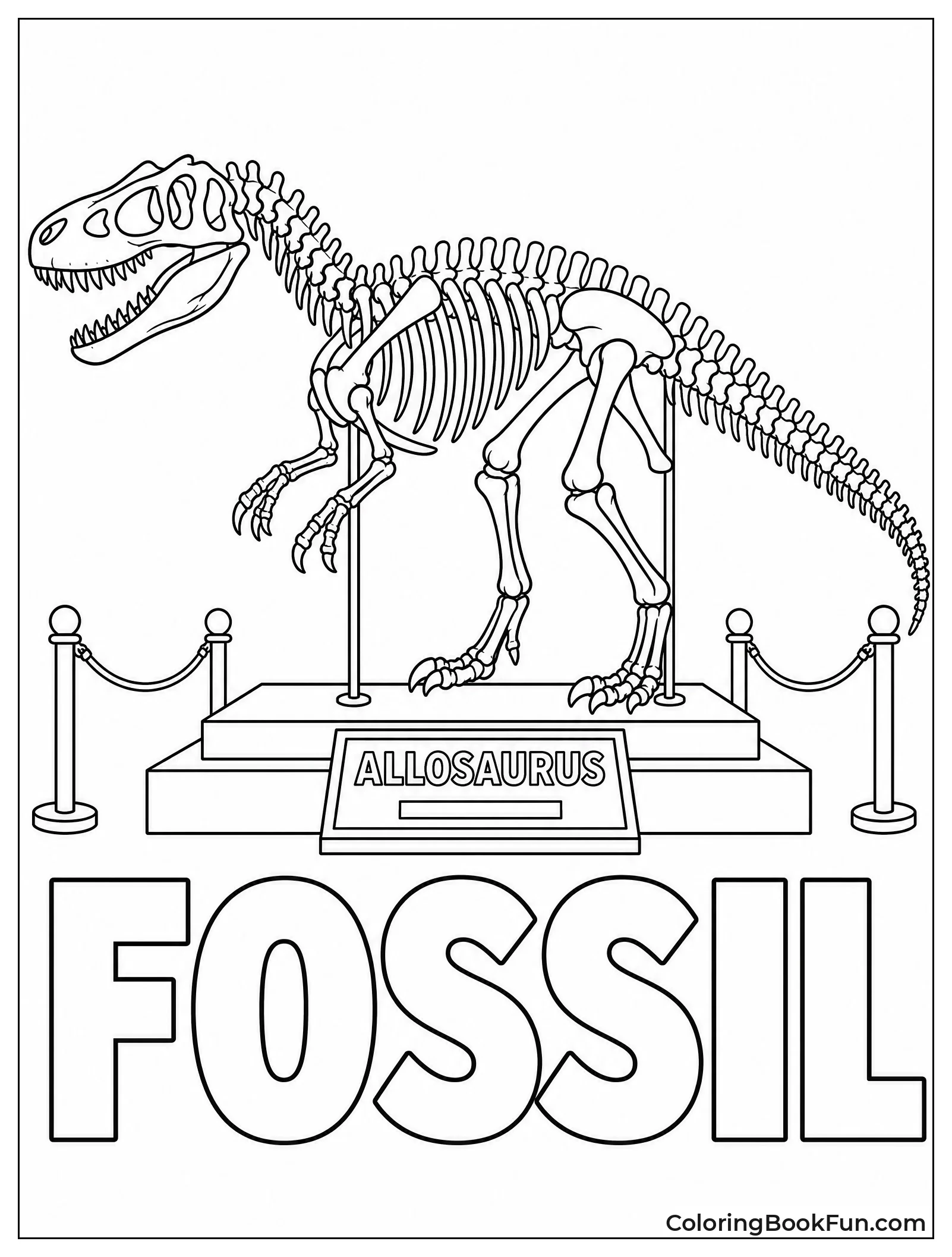 Allosaurus Skeleton in Museum