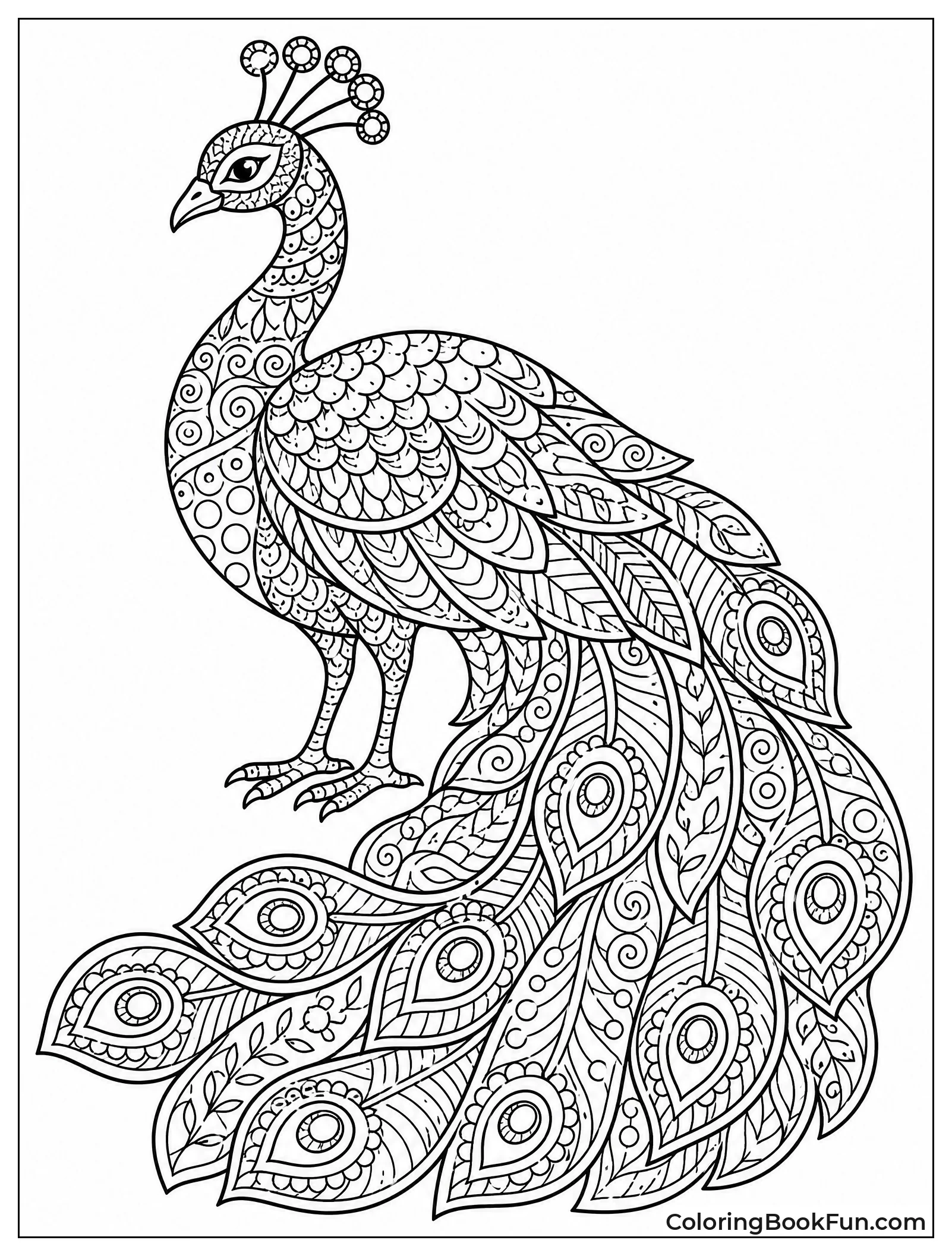 Peacock Silhouette with Detailed Feathers