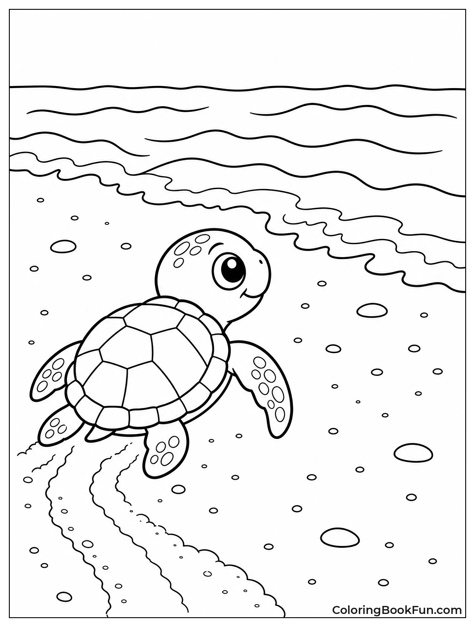Turtle Crawls to Ocean Waves