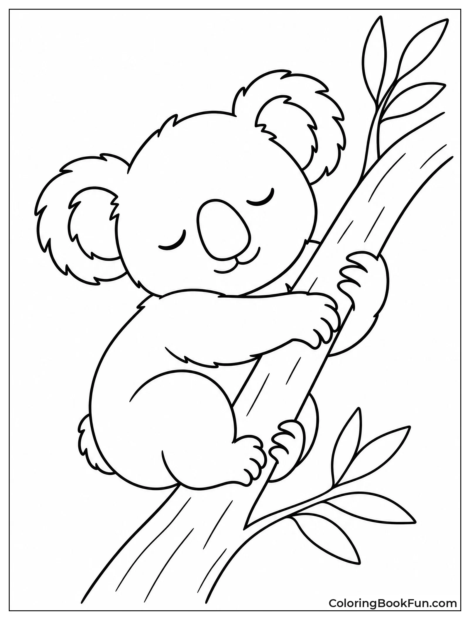 Koala Sleeps on Branch