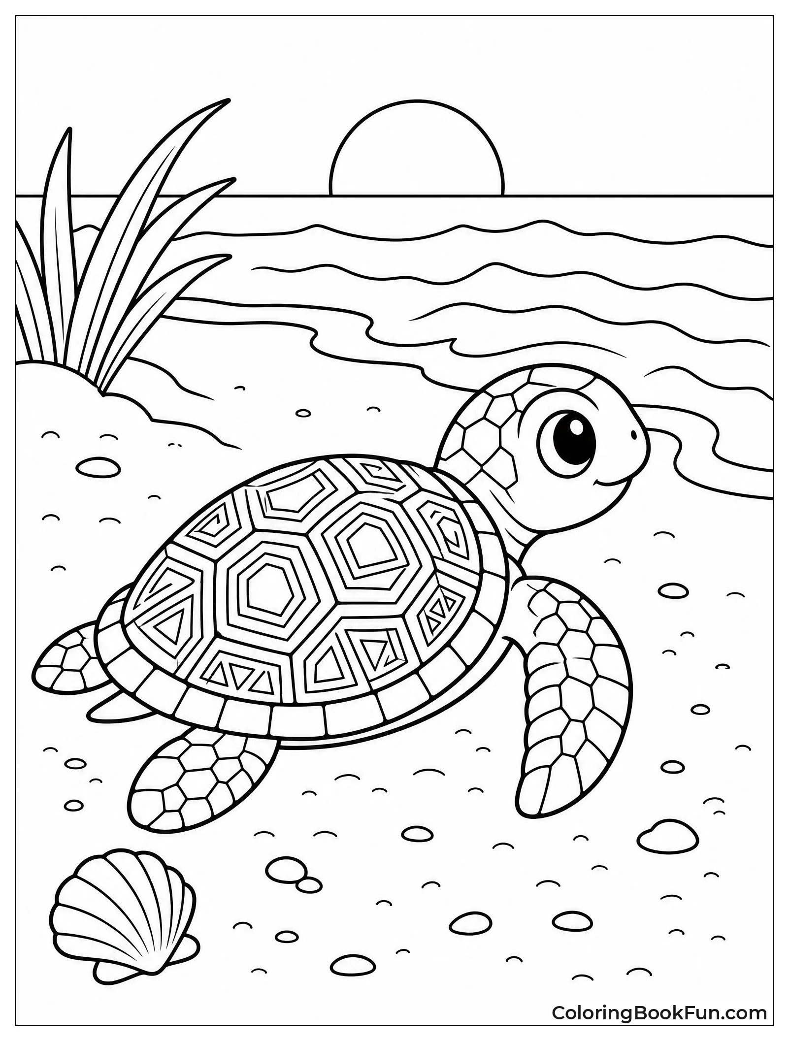 Turtle Hatchling Heads to Ocean