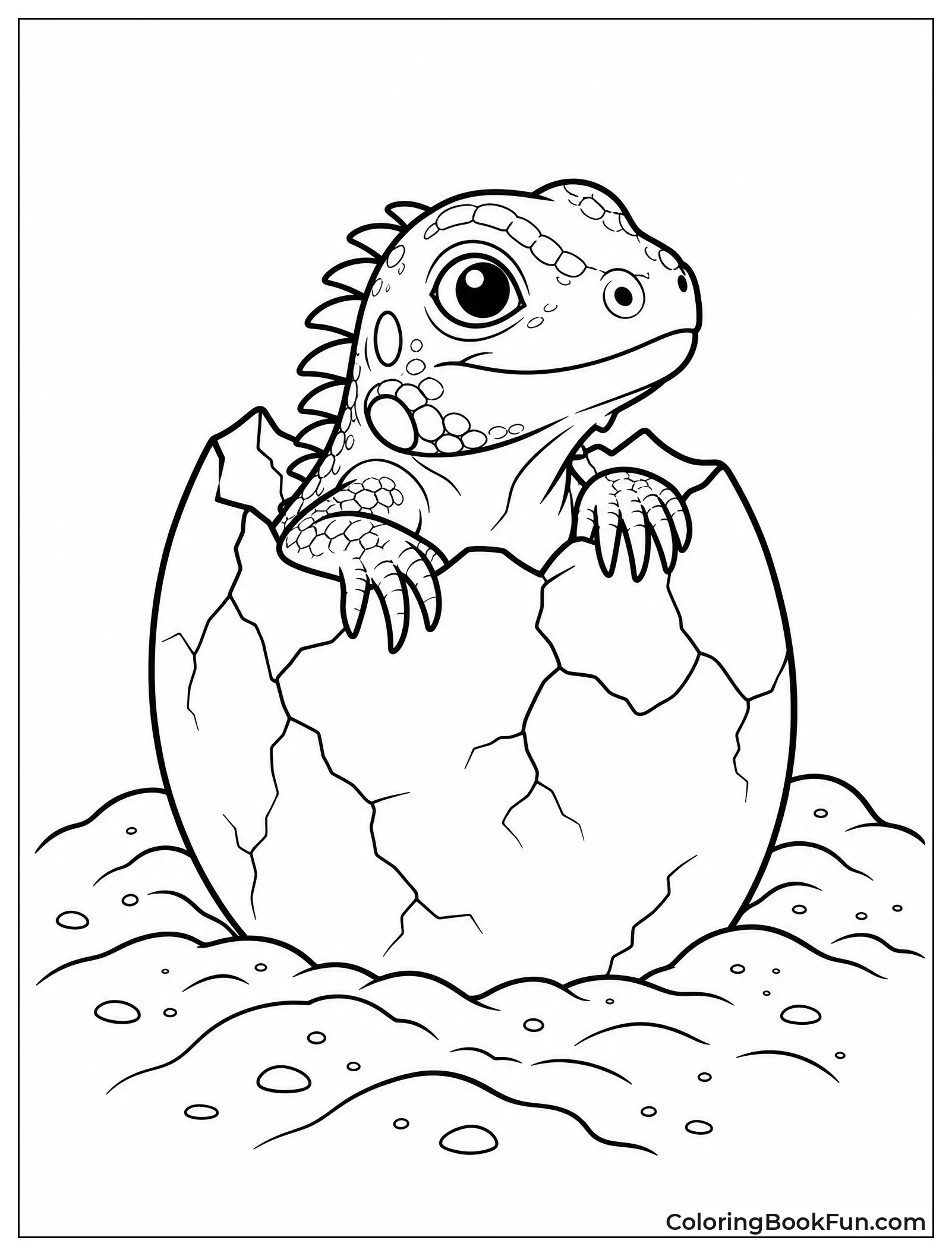 Baby Iguana Hatches from Egg