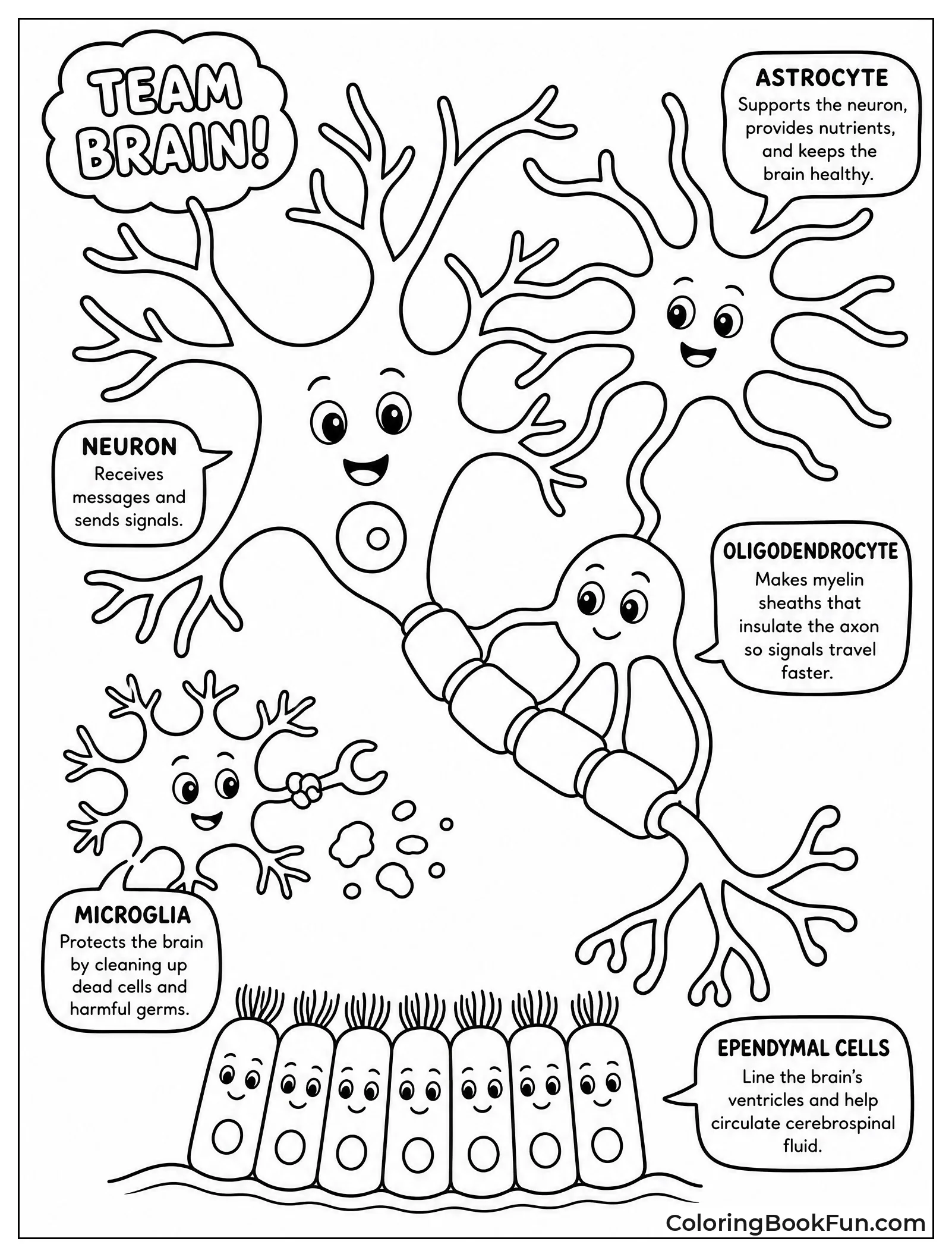 Glial Cells Helping a Neuron