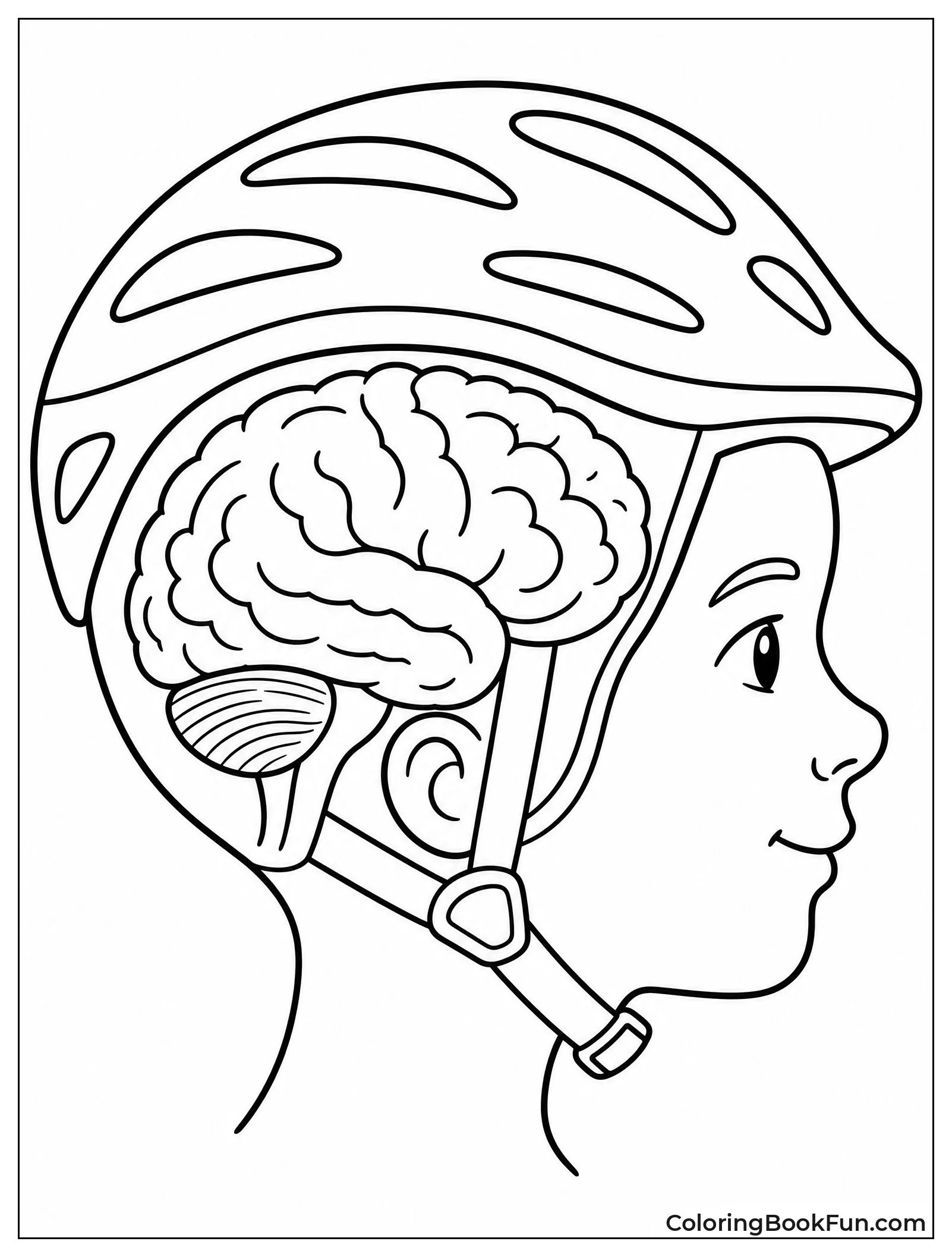 Brain Protected by Bicycle Helmet