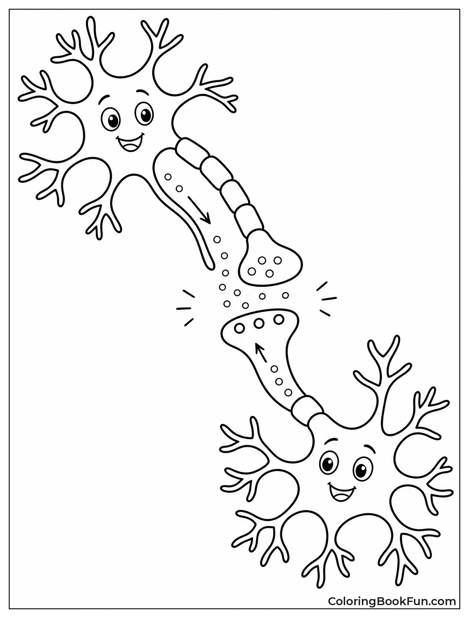 Two Neurons Connecting at Synapse