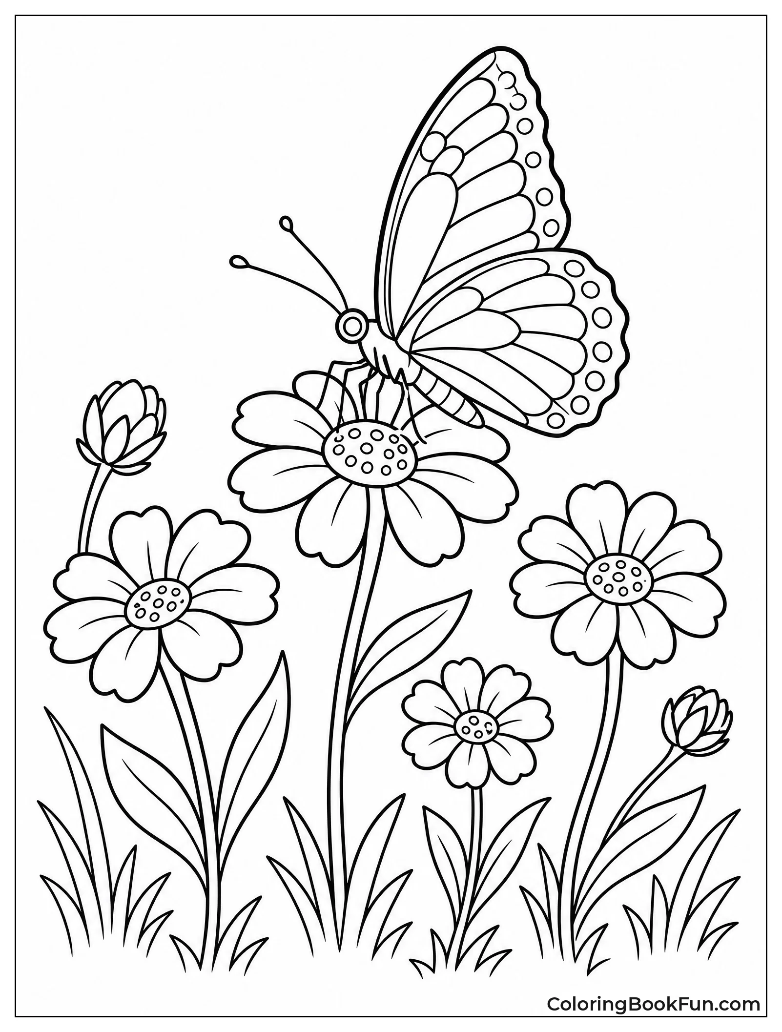 Butterfly Resting on Wildflowers