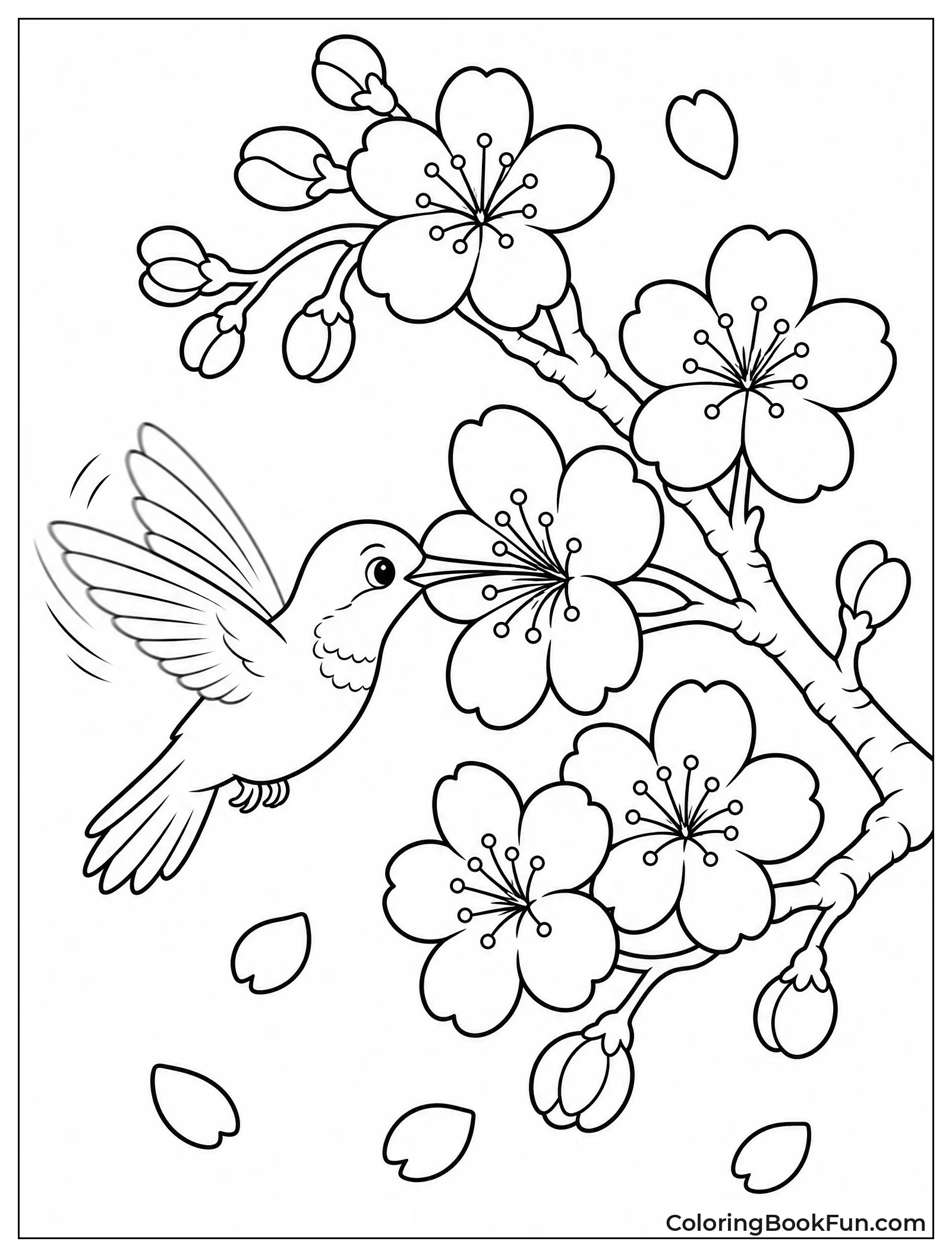 Hummingbird Drinking from Blossom