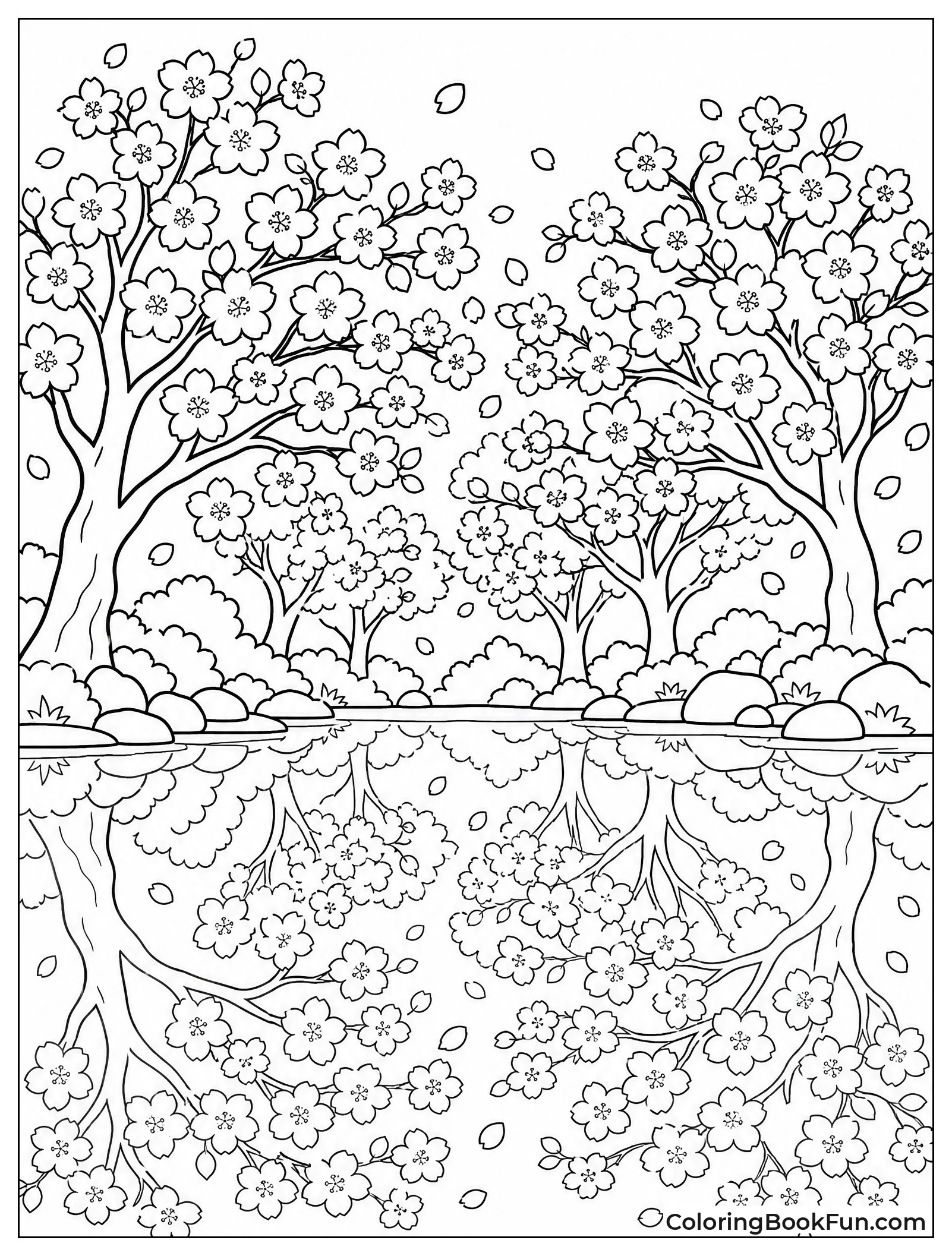 Lake Reflecting Cherry Trees