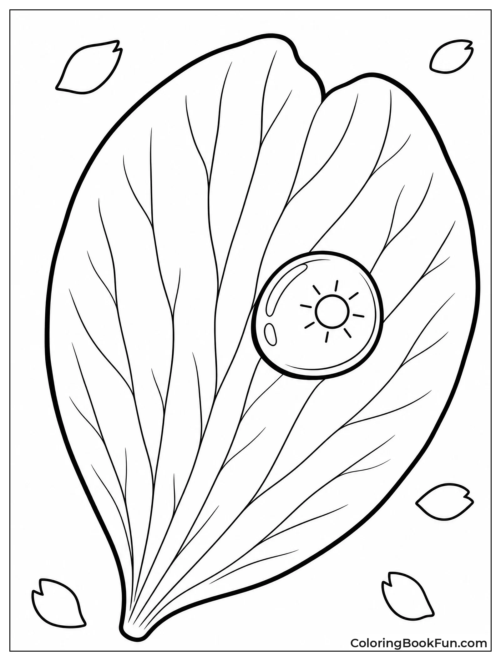 Close Up Petal with Dewdrop