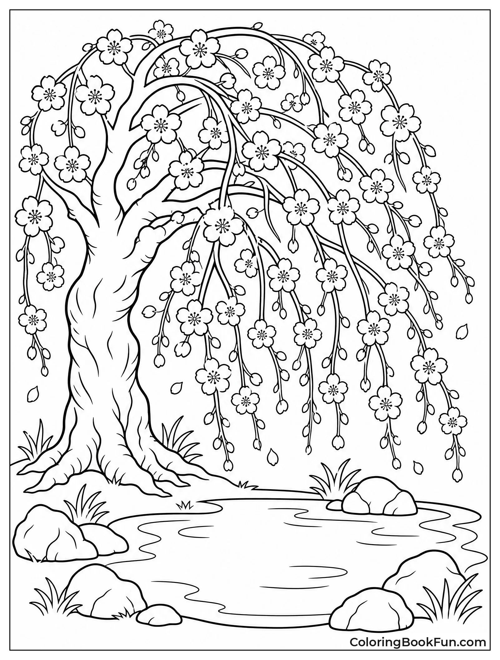 Weeping Cherry Tree Branches