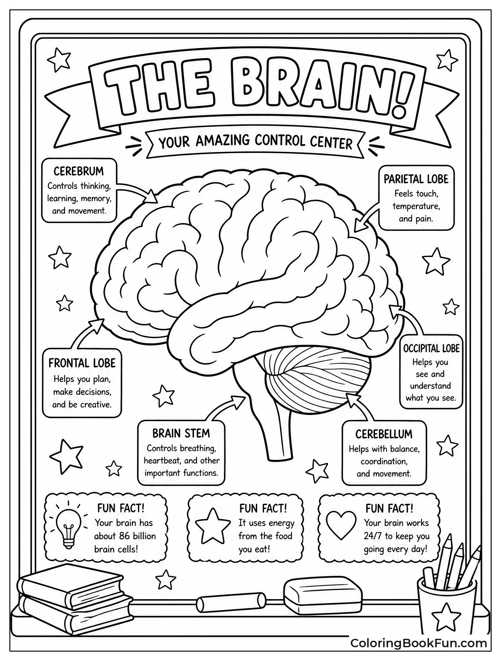 Brain Poster on Chalkboard