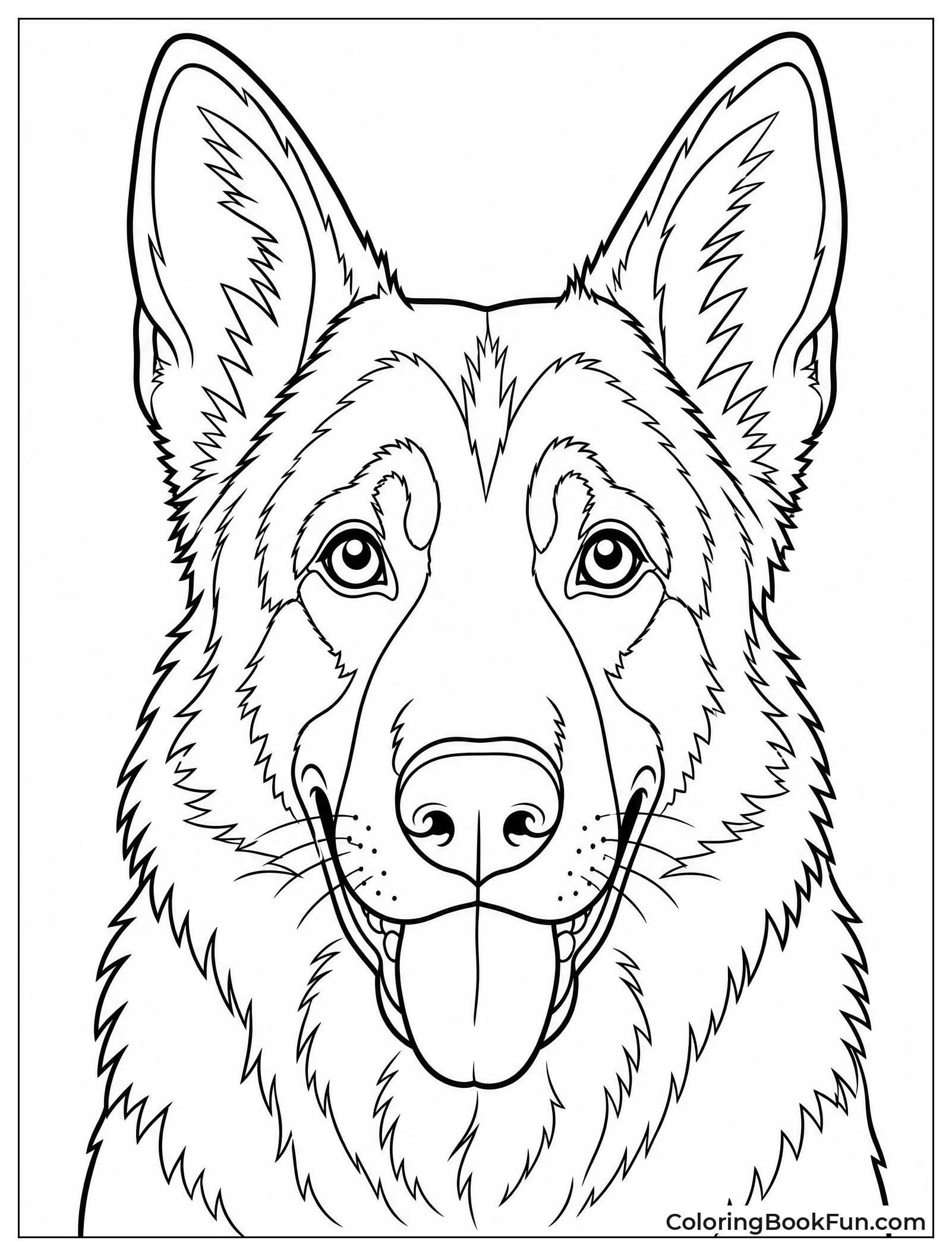 Close Up German Shepherd Face