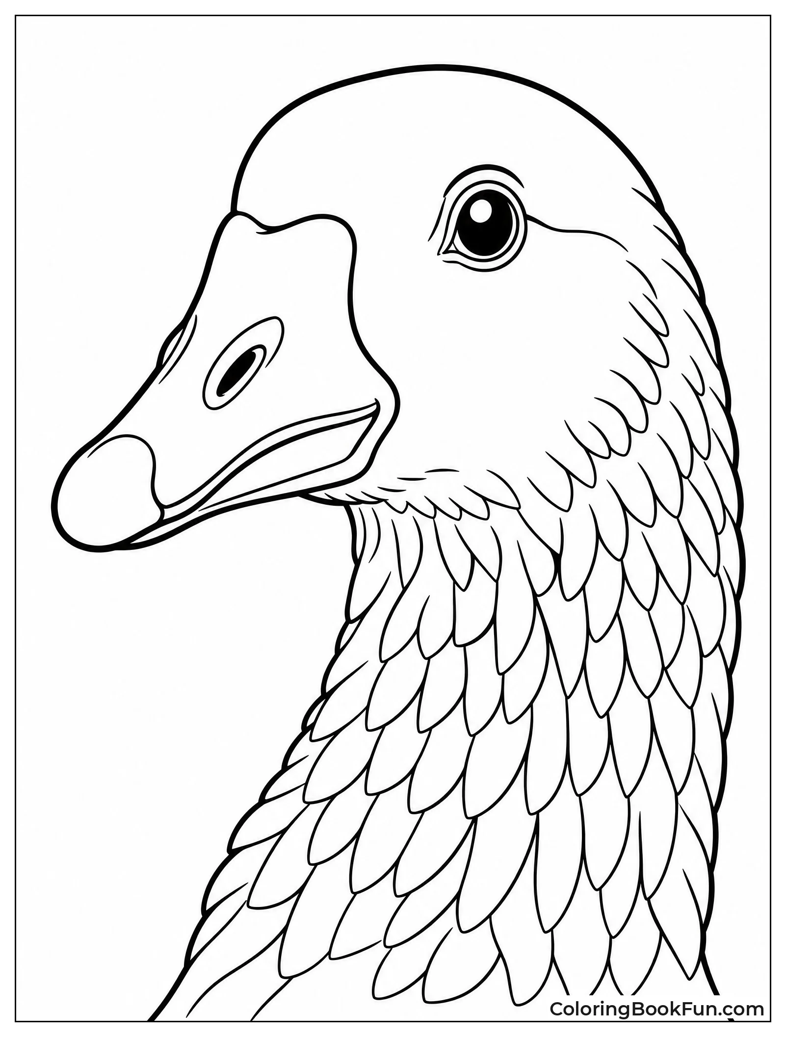 Close Up of Goose Head
