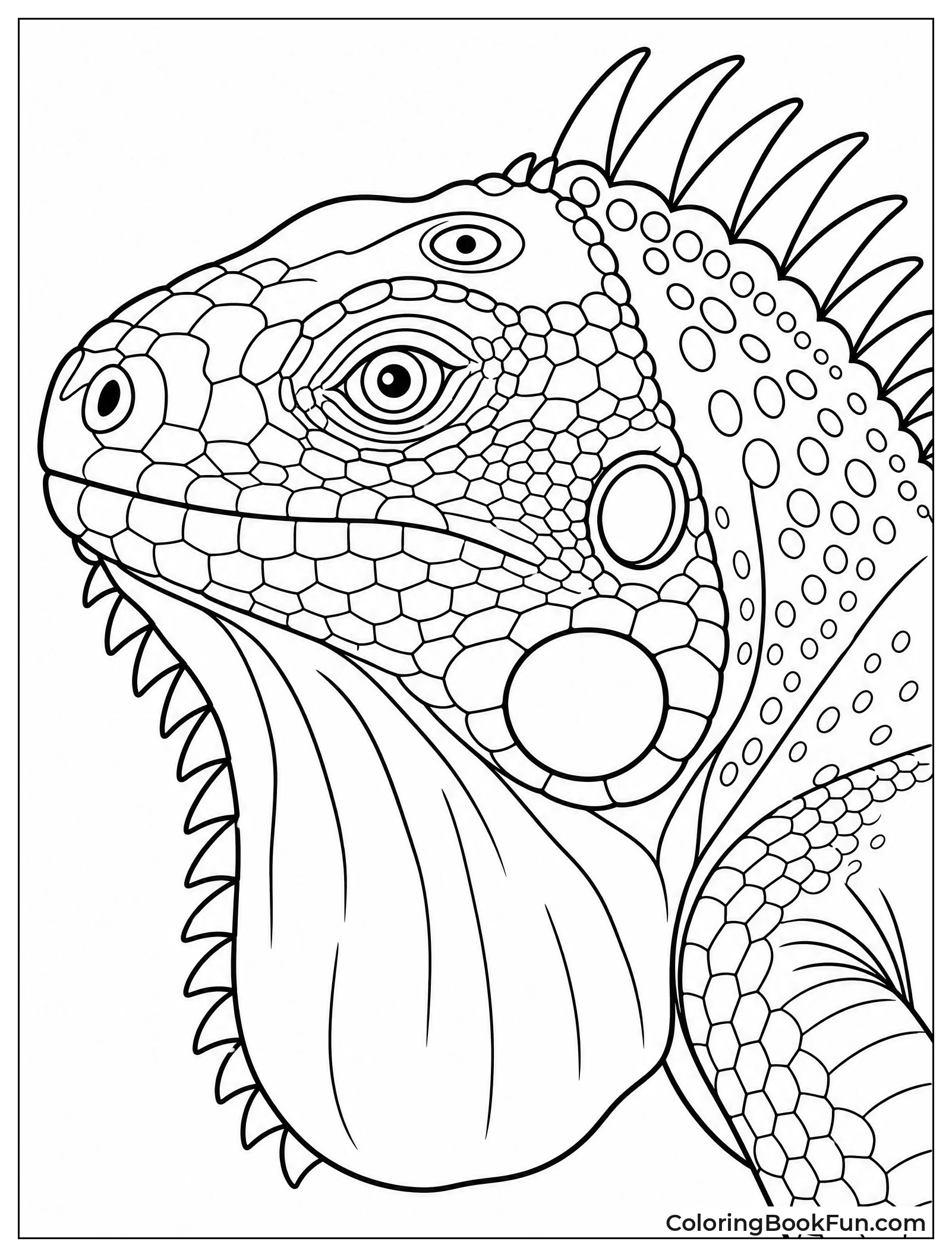Detailed Close-up Iguana Portrait