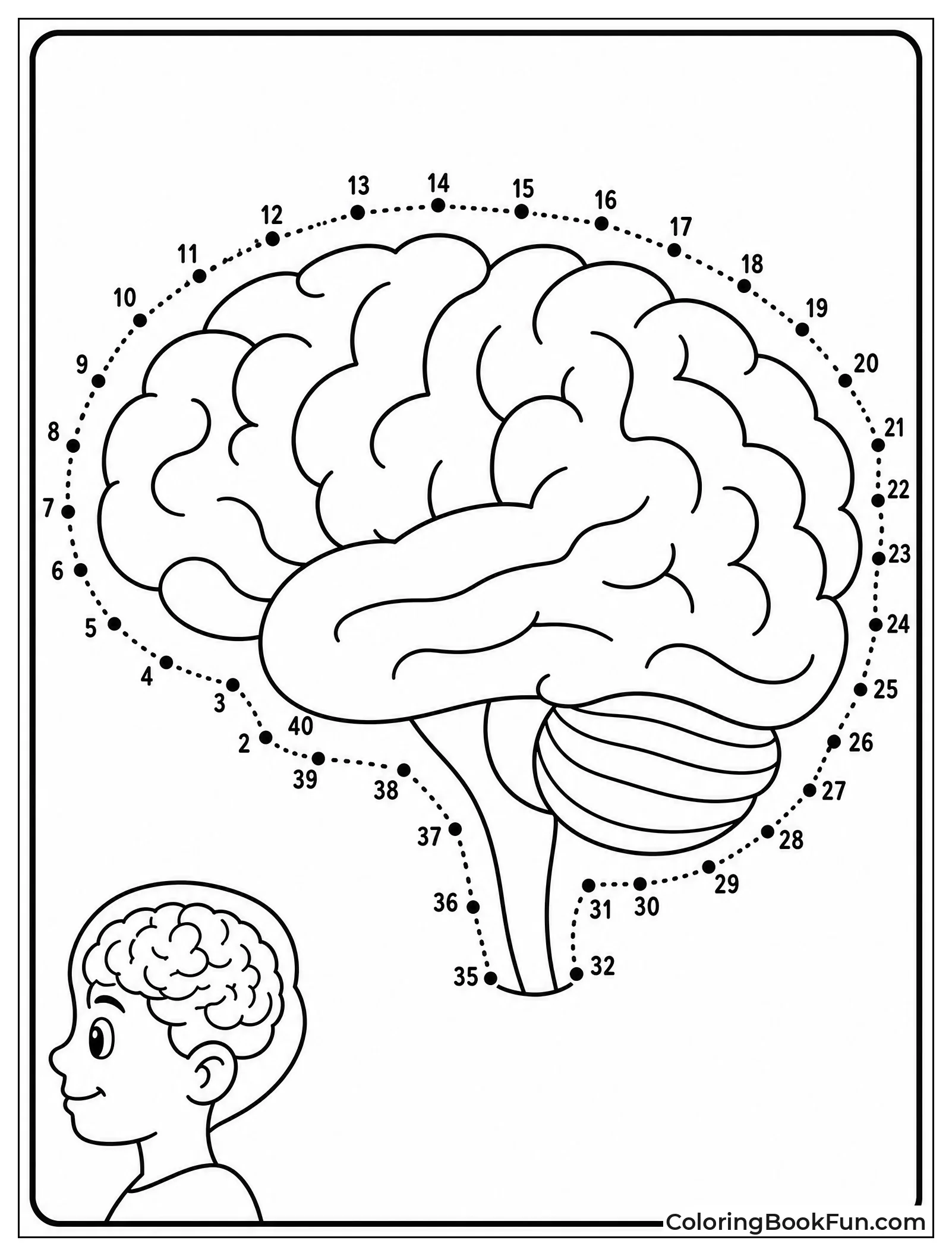 Connect the Dots Brain Shape
