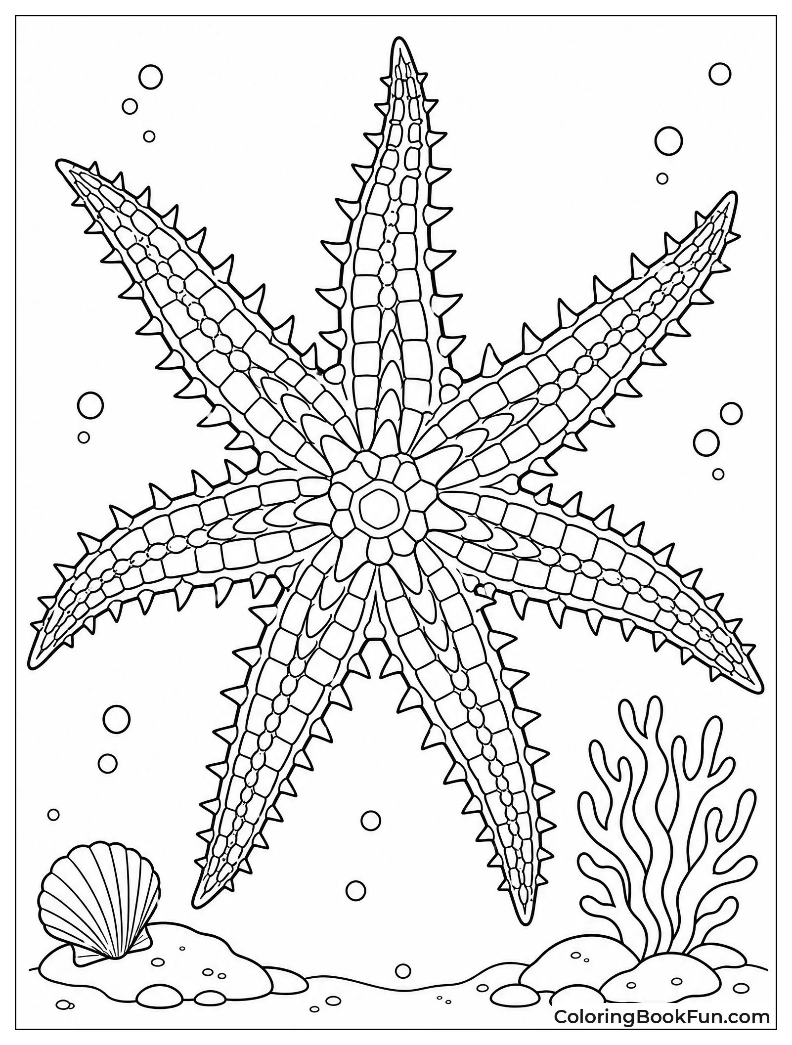 Crown of Thorns Starfish with Spines