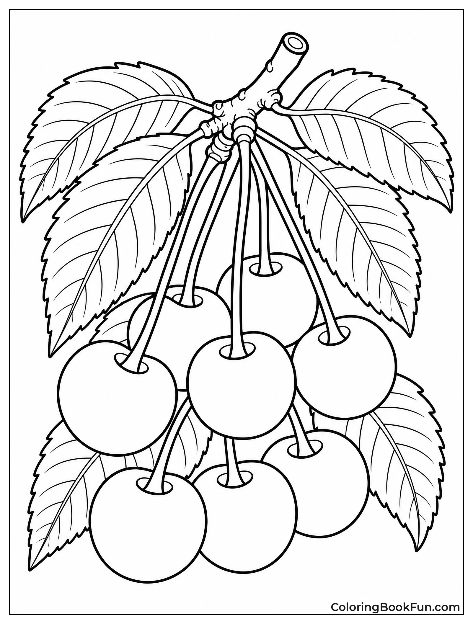 Detailed Cherry Cluster with Veiny Leaves