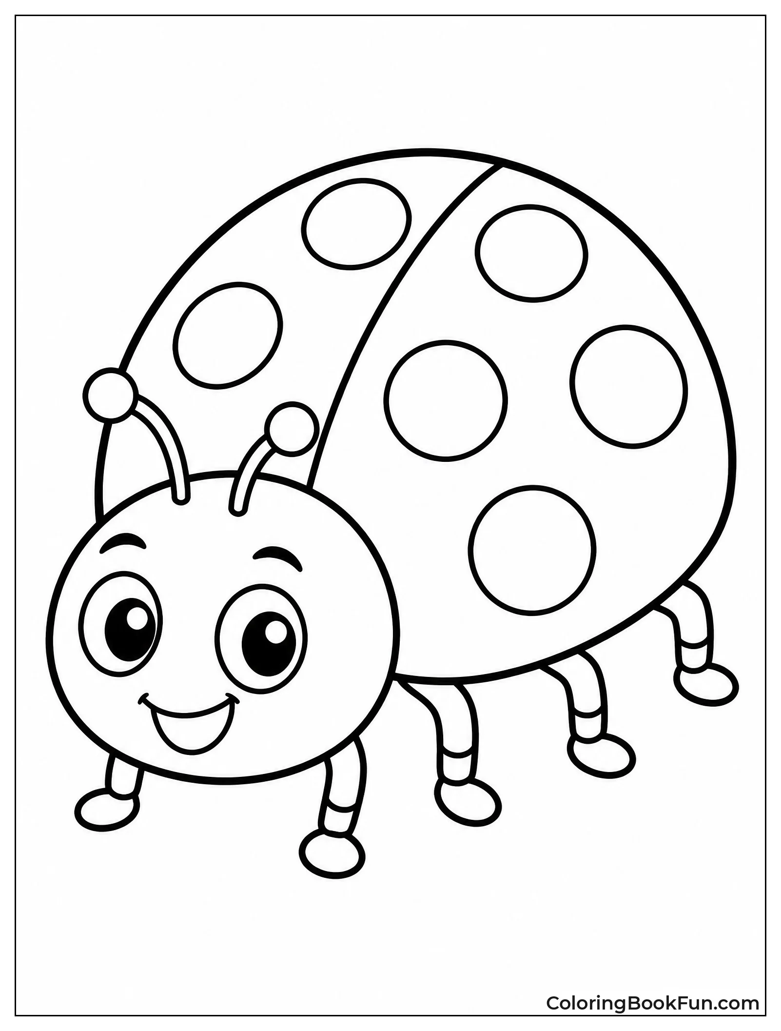 Ladybug Shows Big Black Spots
