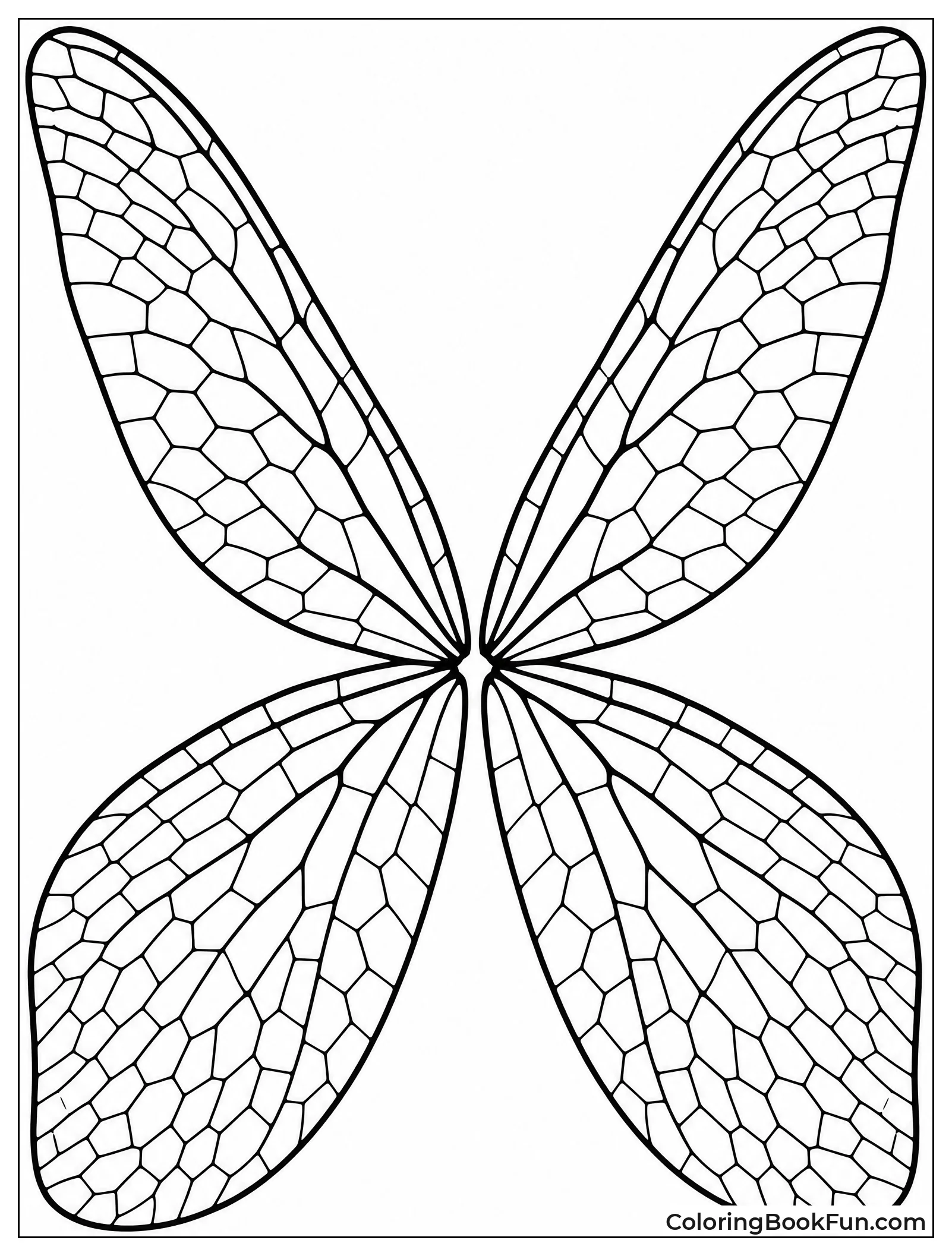 Close Up of Dragonfly Wings