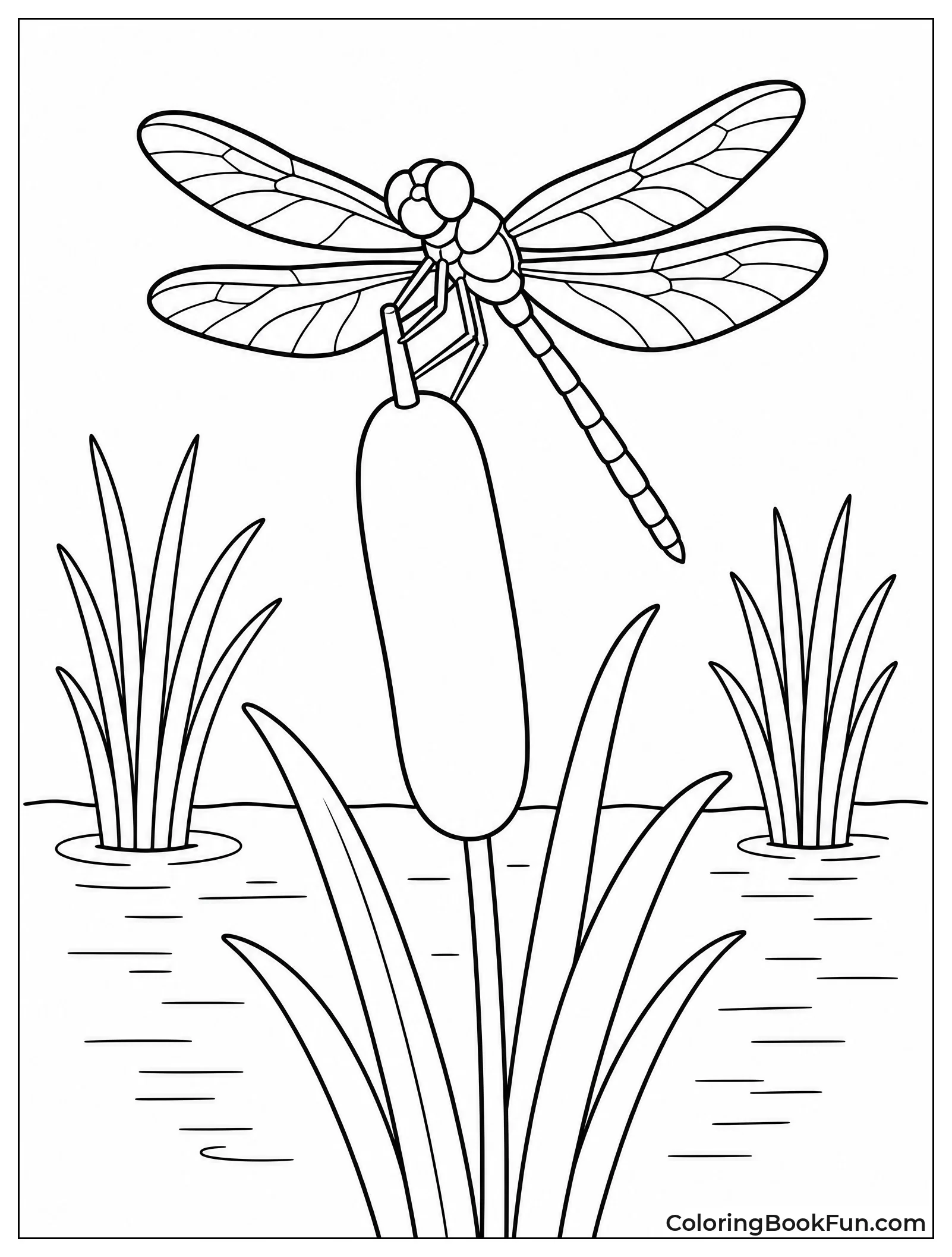 Dragonfly Perched on Cattail