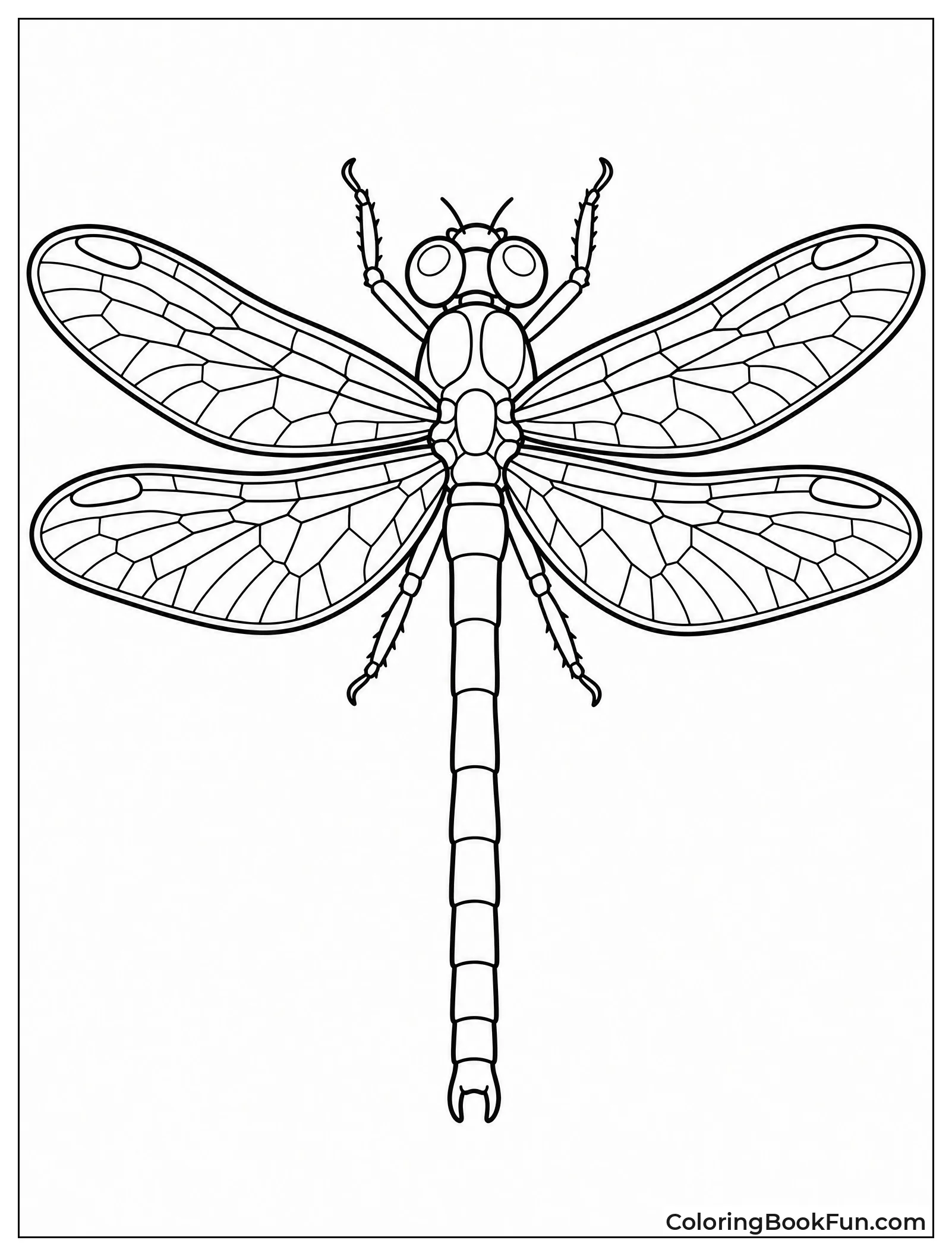 Dragonfly with Detailed Wing Veins