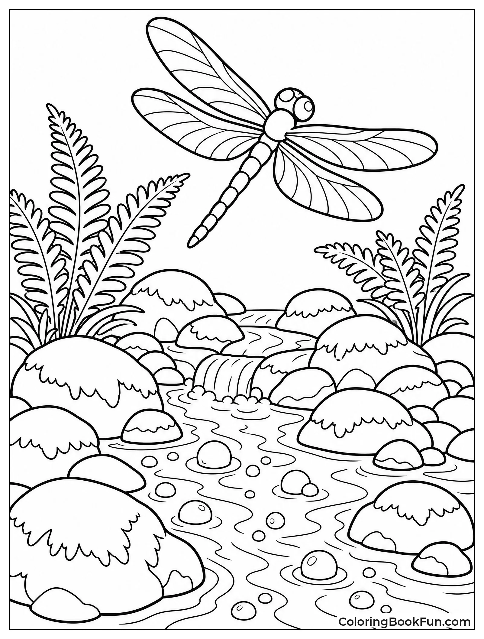 Dragonfly over Forest Creek