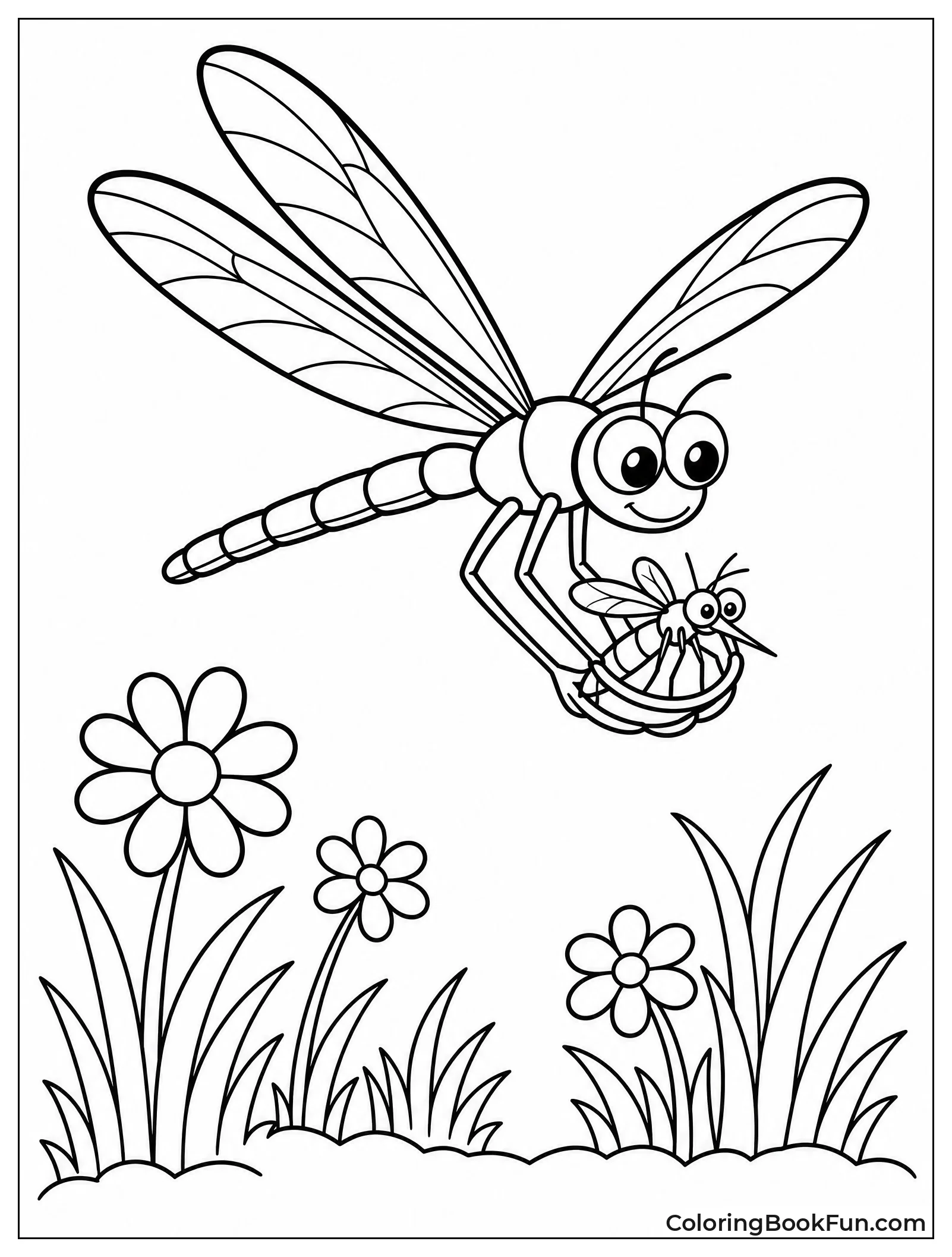 Dragonfly Catching a Mosquito