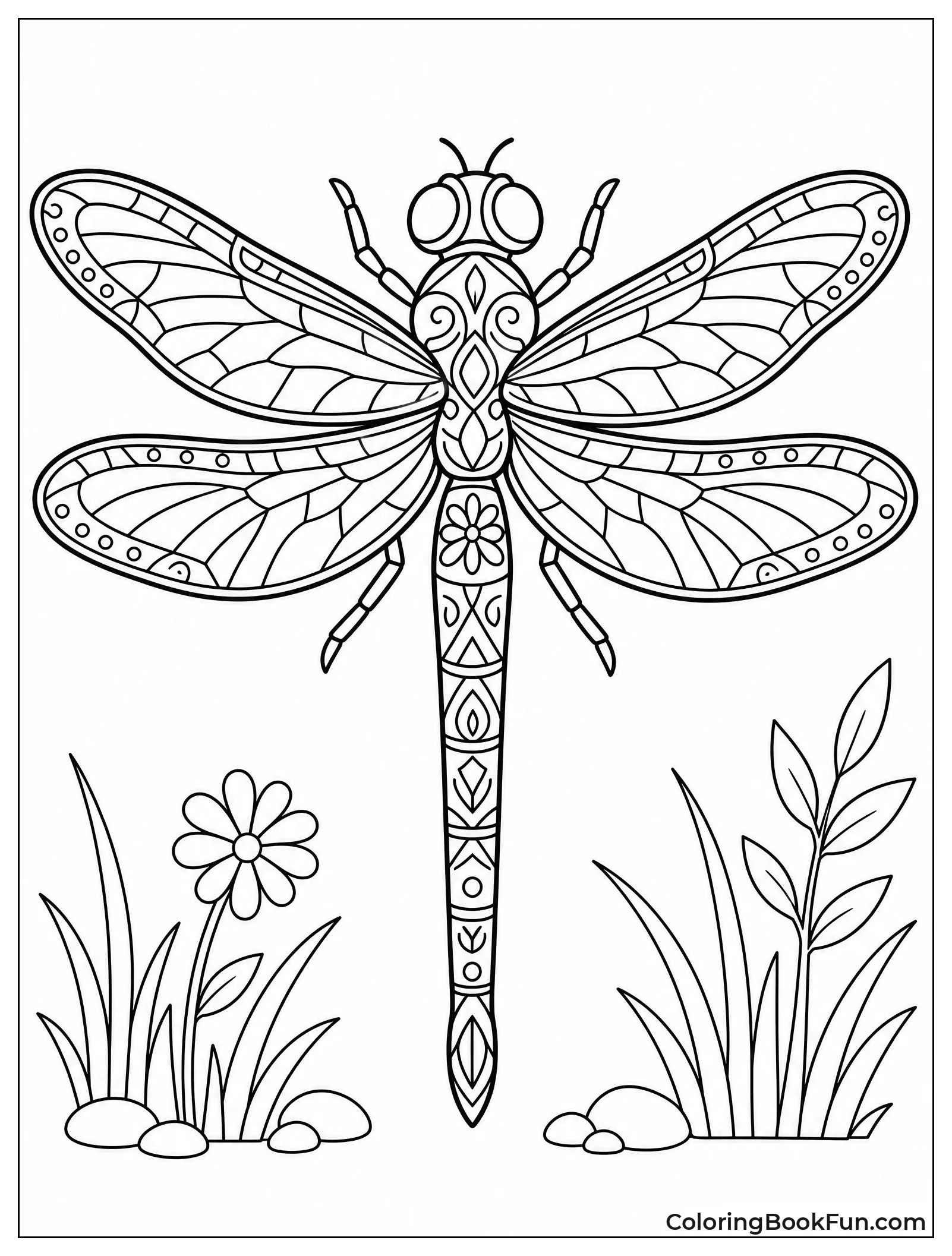 Dragonfly with Jeweled Abdomen