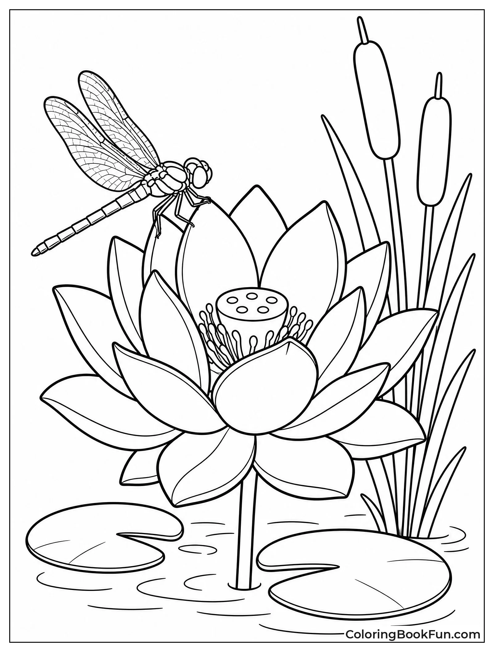 Dragonfly on Lotus Flower