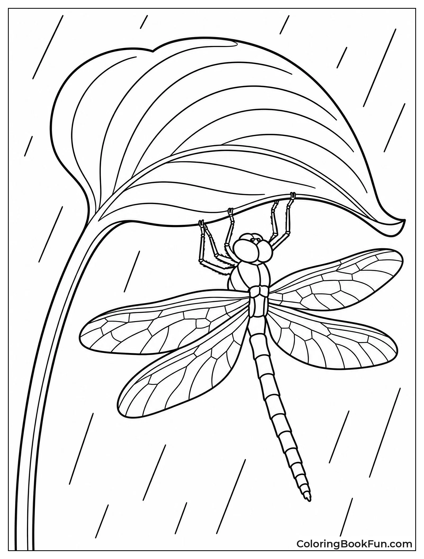 Dragonfly Sheltering from Rain