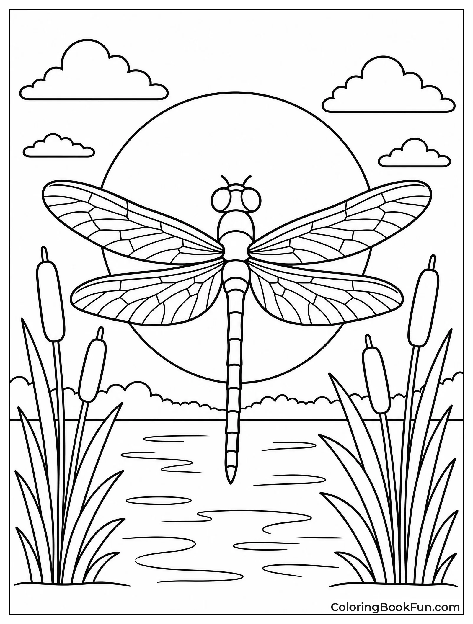 Dragonfly Silhouette at Sunset