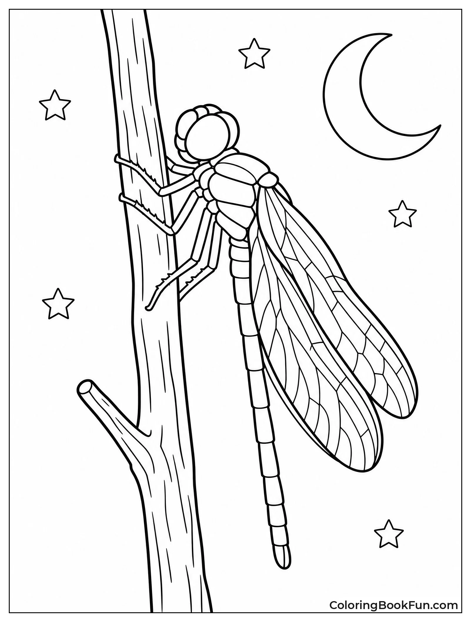 Dragonfly Sleeping on a Twig